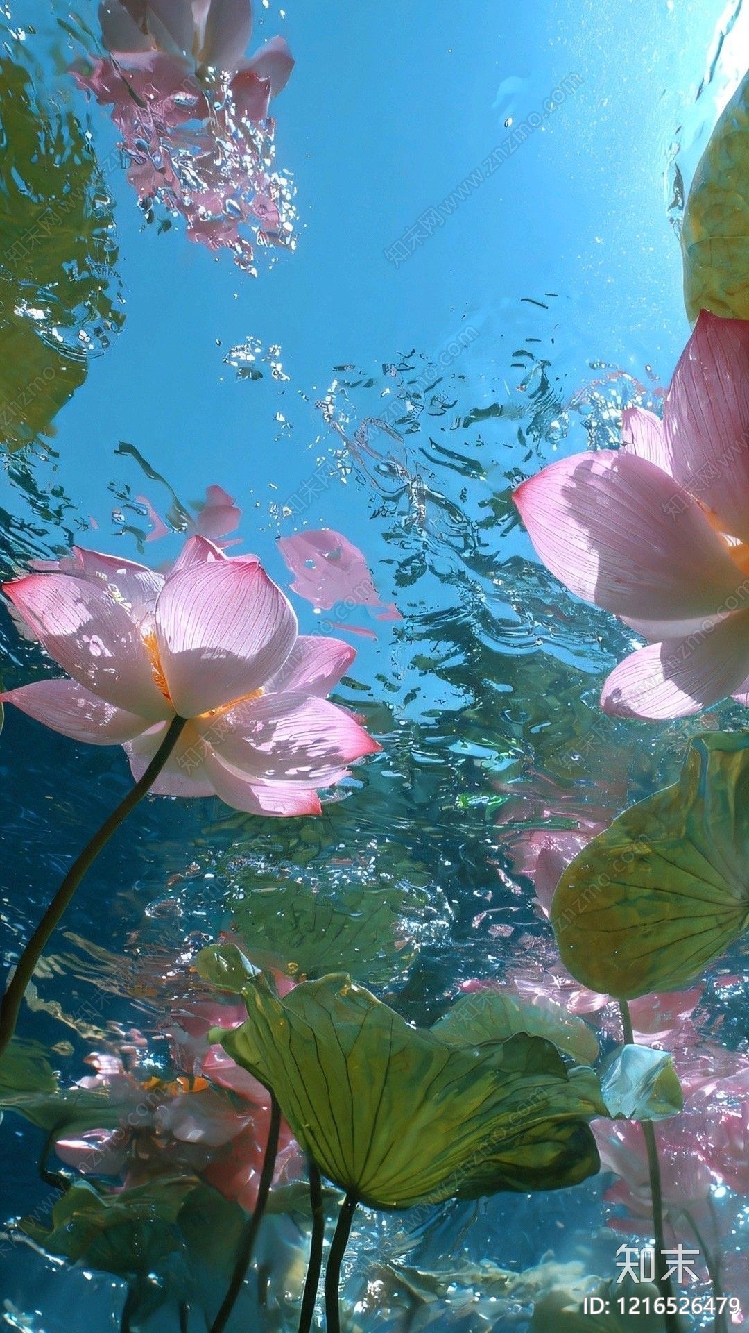 叶片纹理贴图下载【ID:1216526479】