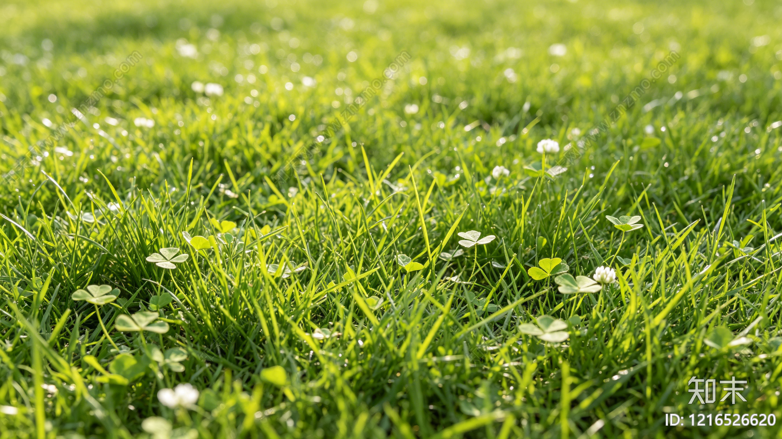 现代自然地面贴图下载【ID:1216526620】