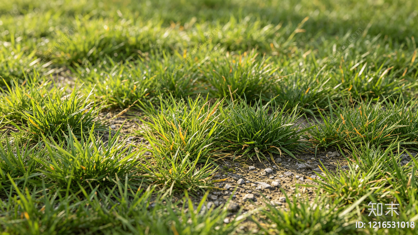 现代自然地面贴图下载【ID:1216531018】