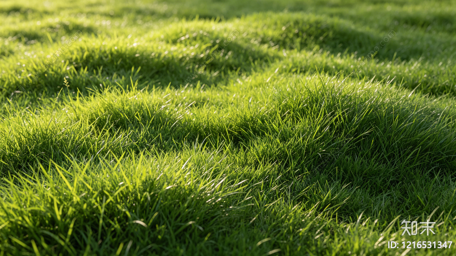 现代草地贴图下载【ID:1216531347】