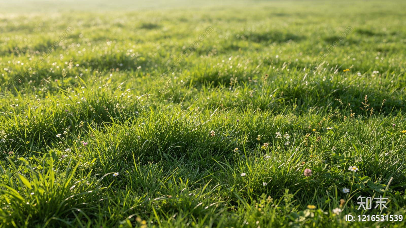 现代草地纹理贴图下载【ID:1216531539】