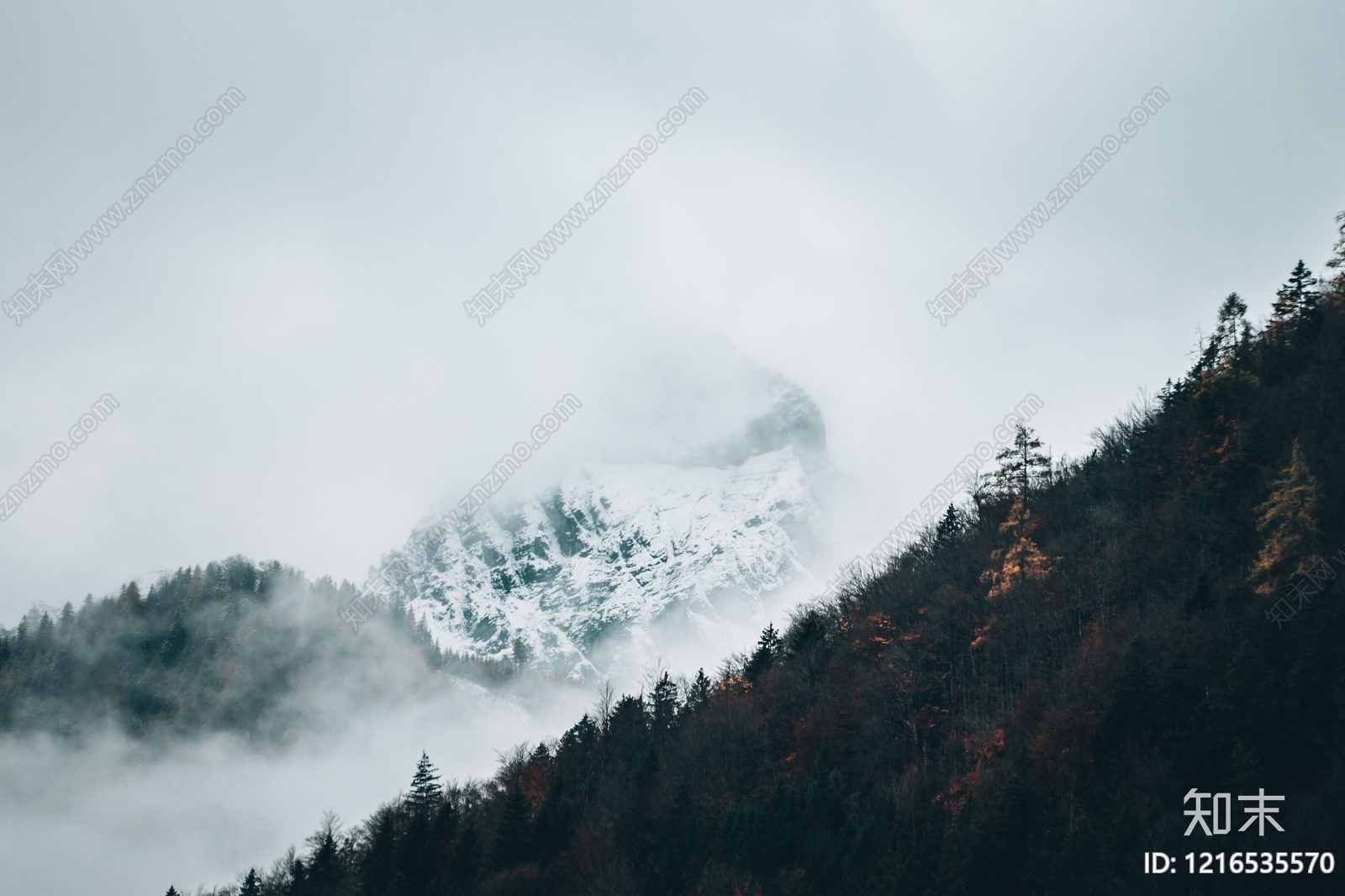 远山贴图下载【ID:1216535570】