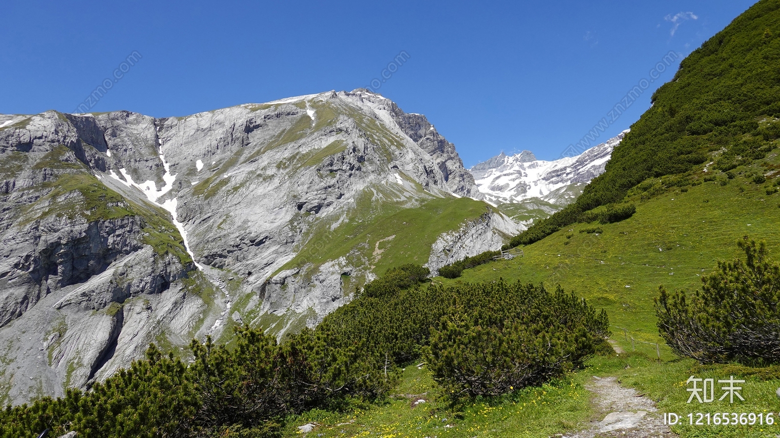 雪山贴图下载【ID:1216536916】