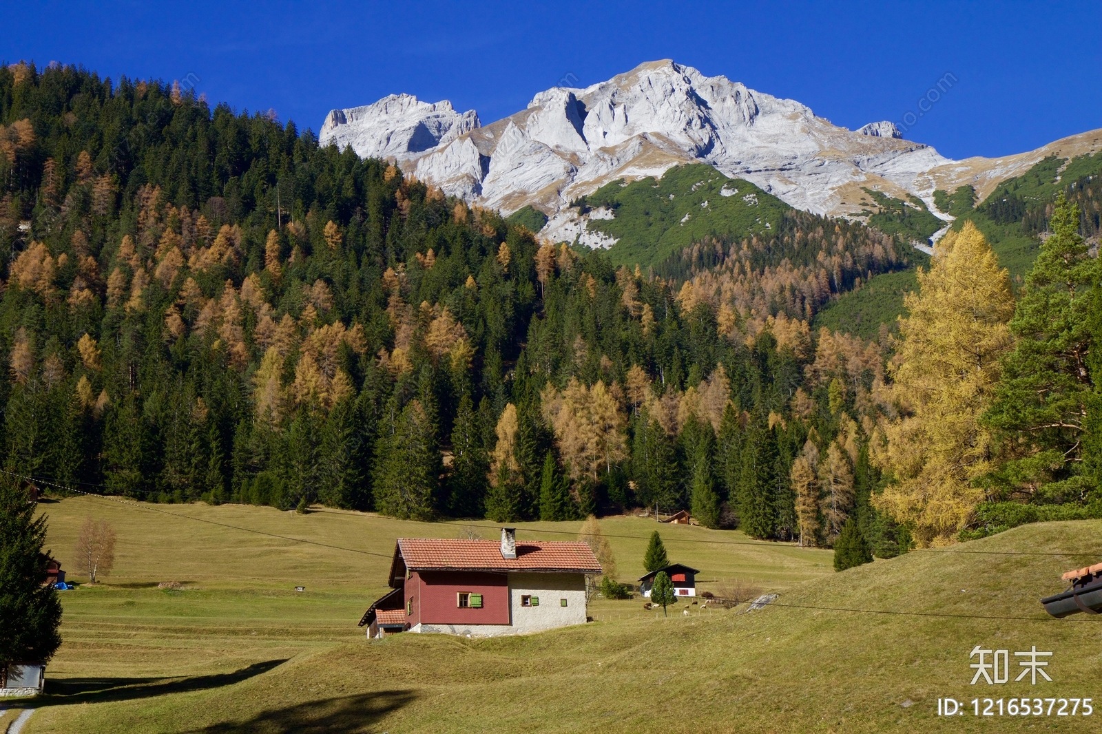 雪山贴图下载【ID:1216537275】