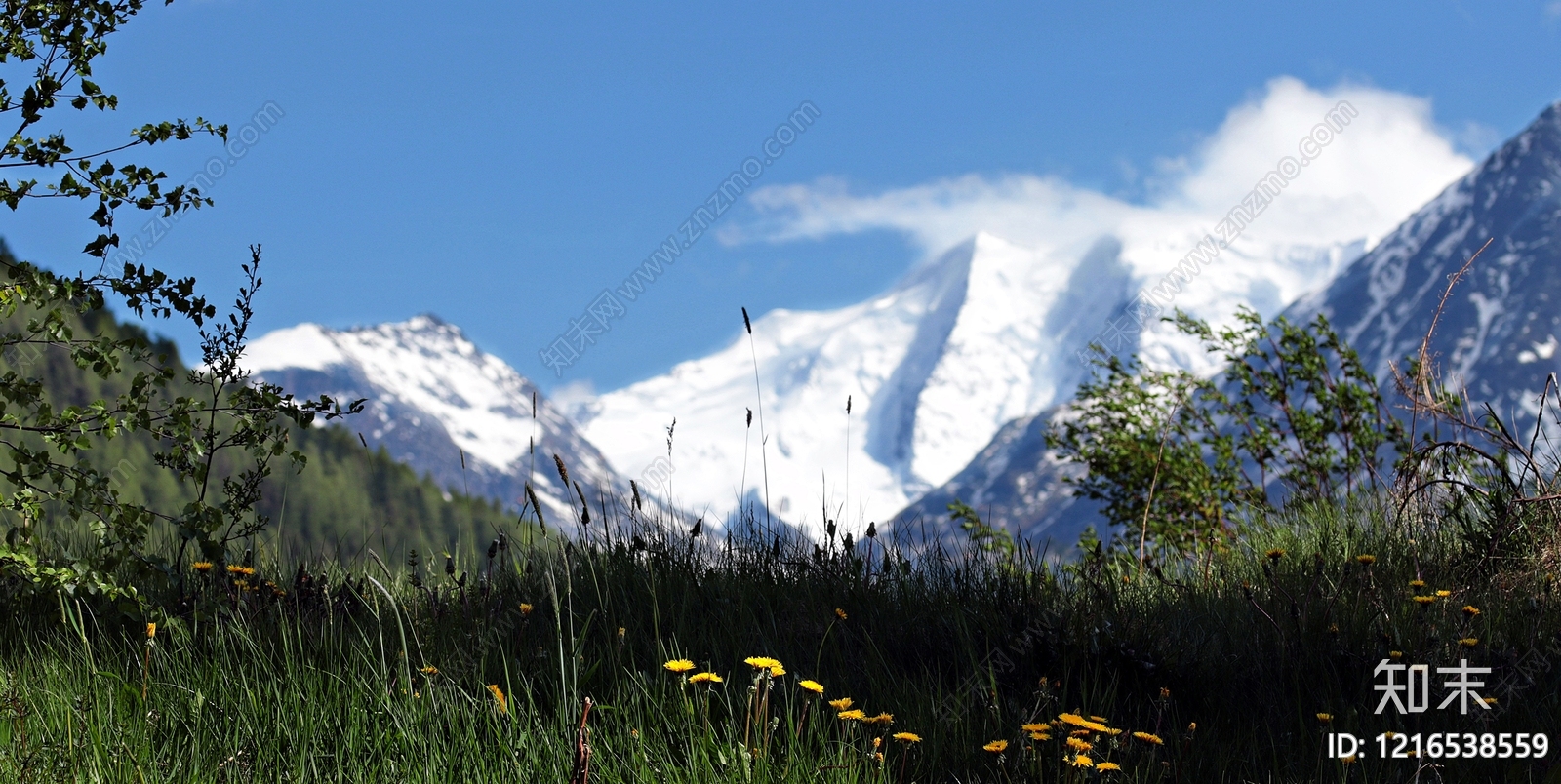 远山贴图下载【ID:1216538559】