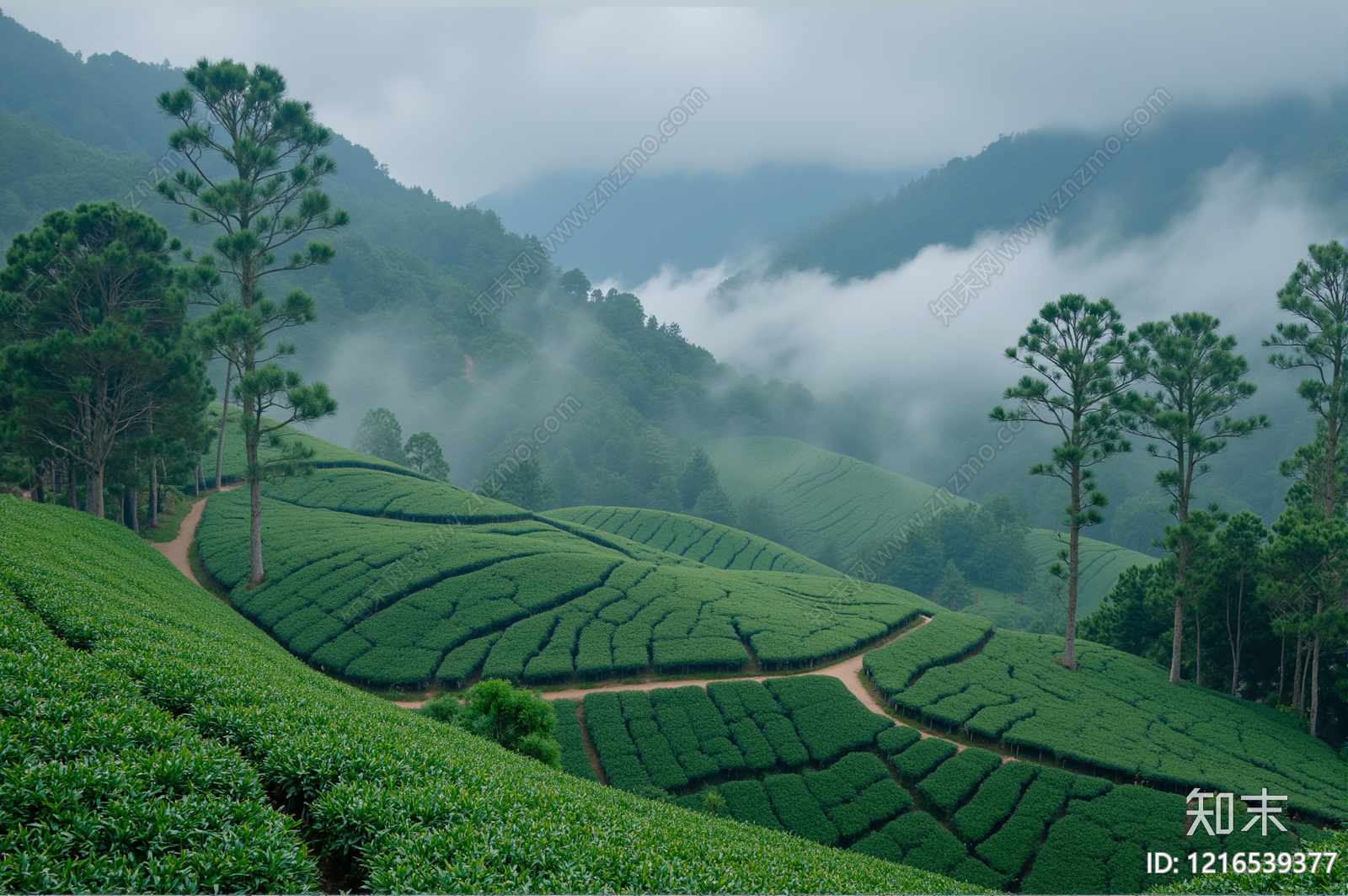 现代远山贴图下载【ID:1216539377】