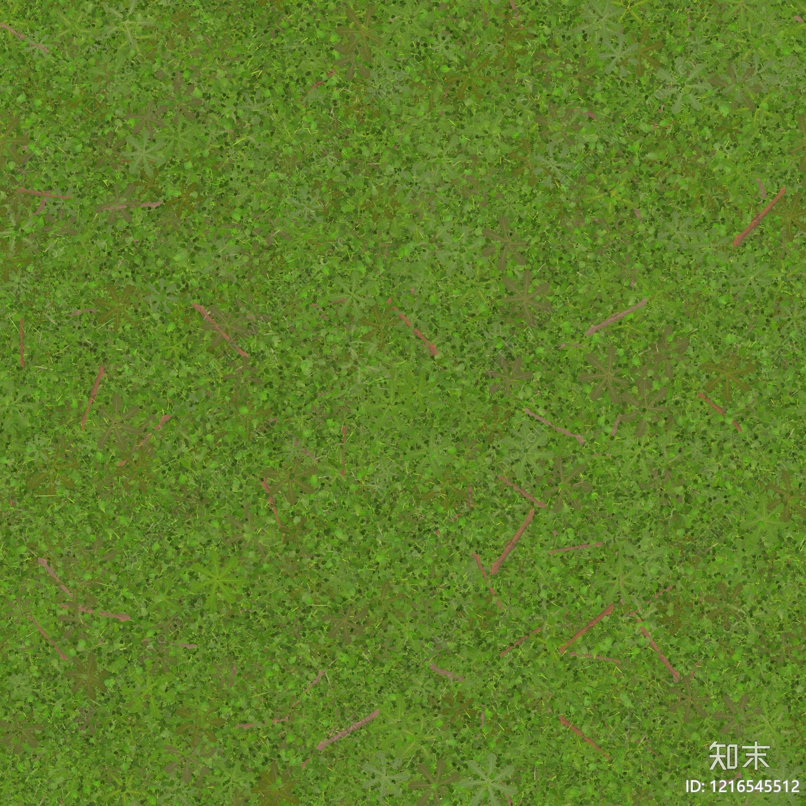 苔藓纹理贴图下载【ID:1216545512】