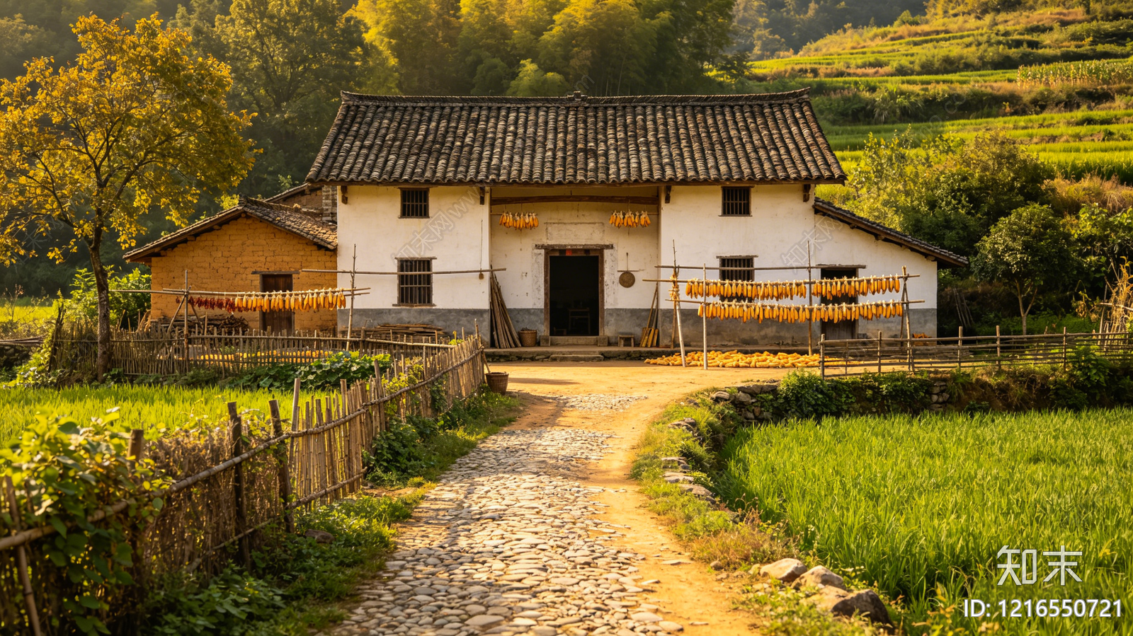 现代农田贴图下载【ID:1216550721】