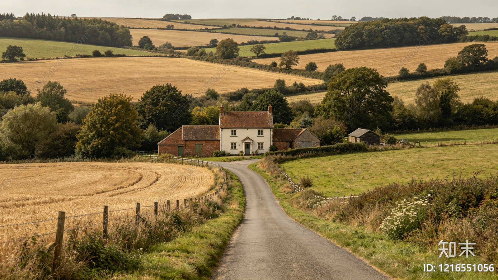 现代农田贴图下载【ID:1216551056】