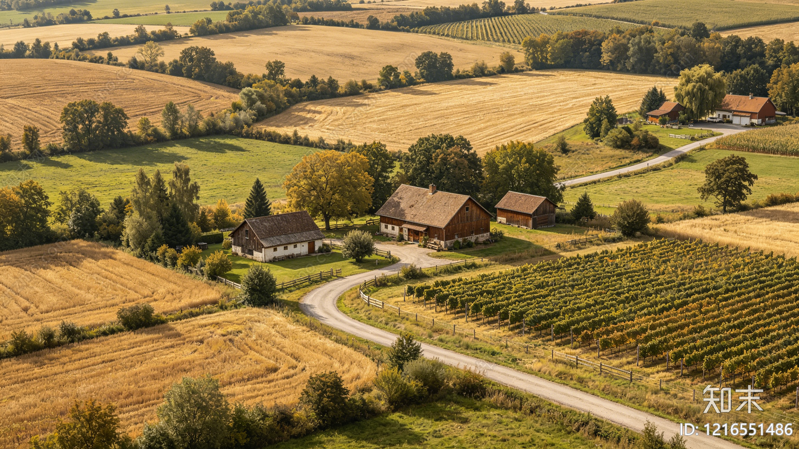 现代农田贴图下载【ID:1216551486】