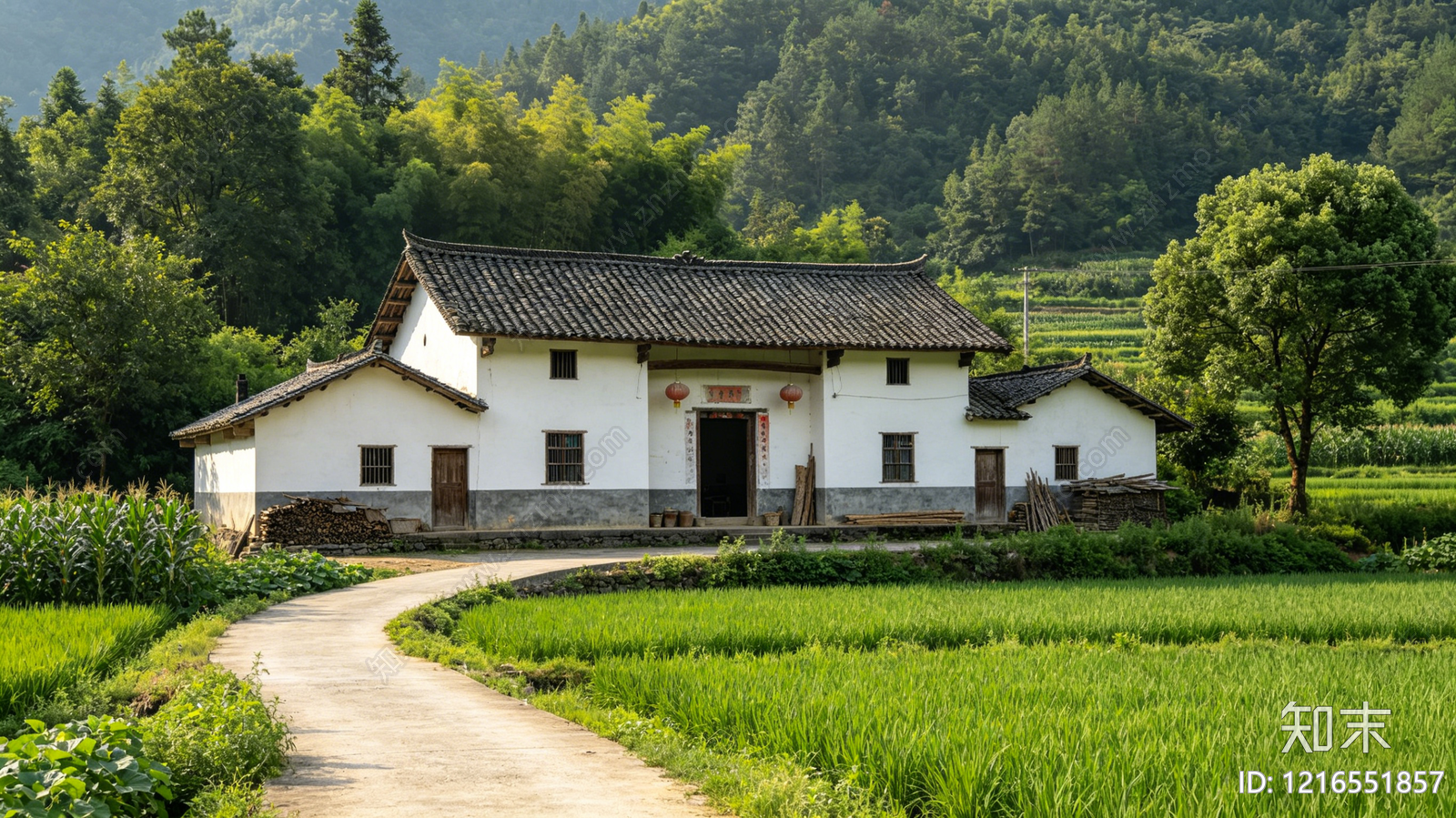 现代乡村贴图下载【ID:1216551857】