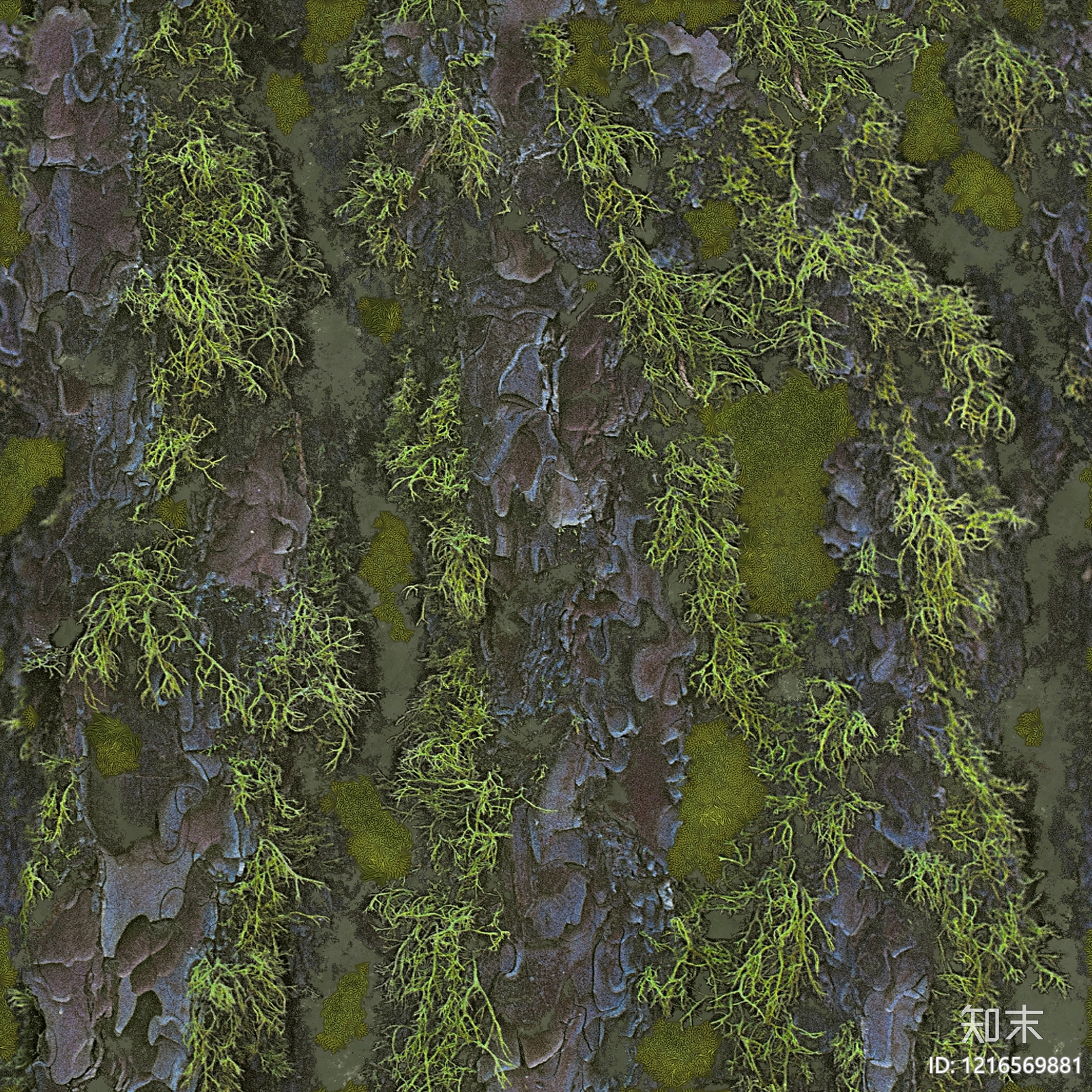 苔藓纹理贴图下载【ID:1216569881】
