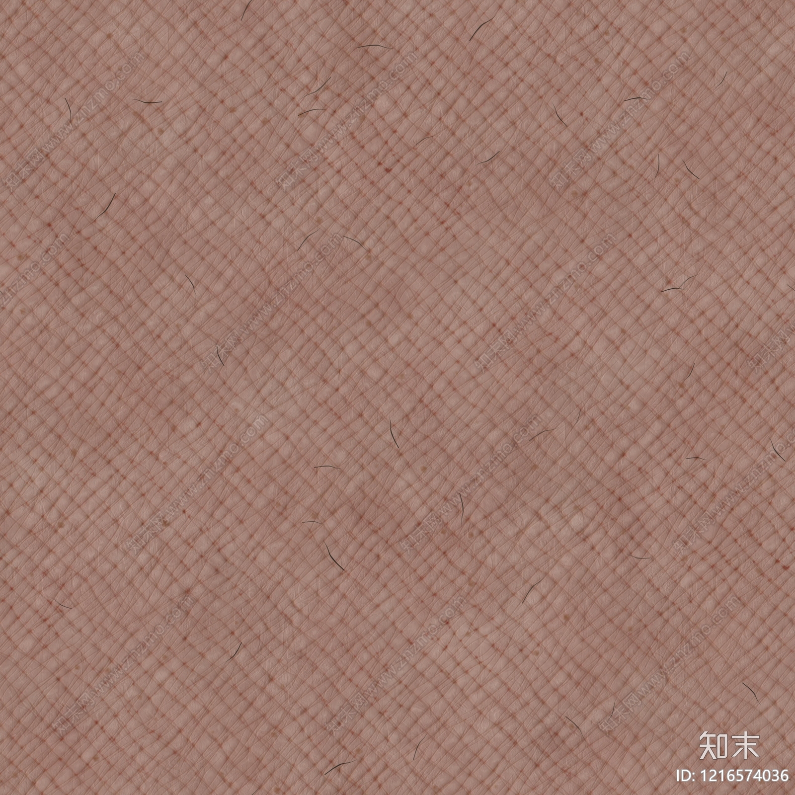 纱布贴图下载【ID:1216574036】