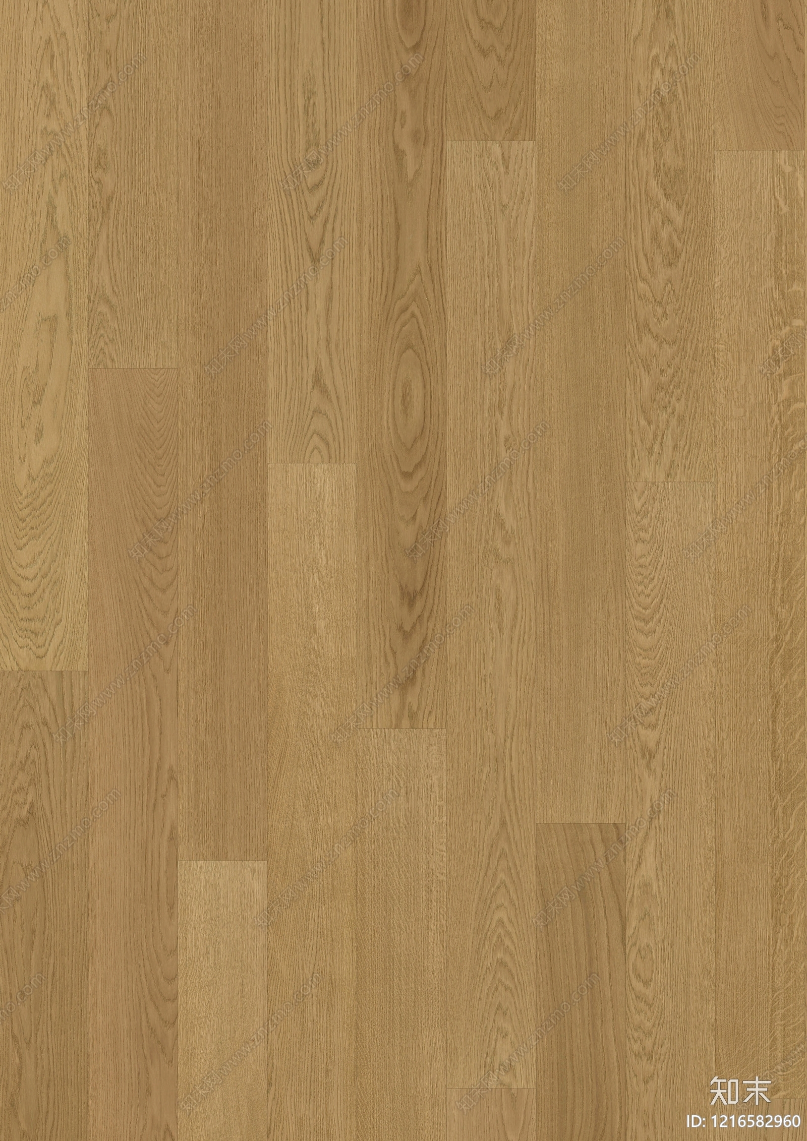现代其他木地板贴图下载【ID:1216582960】