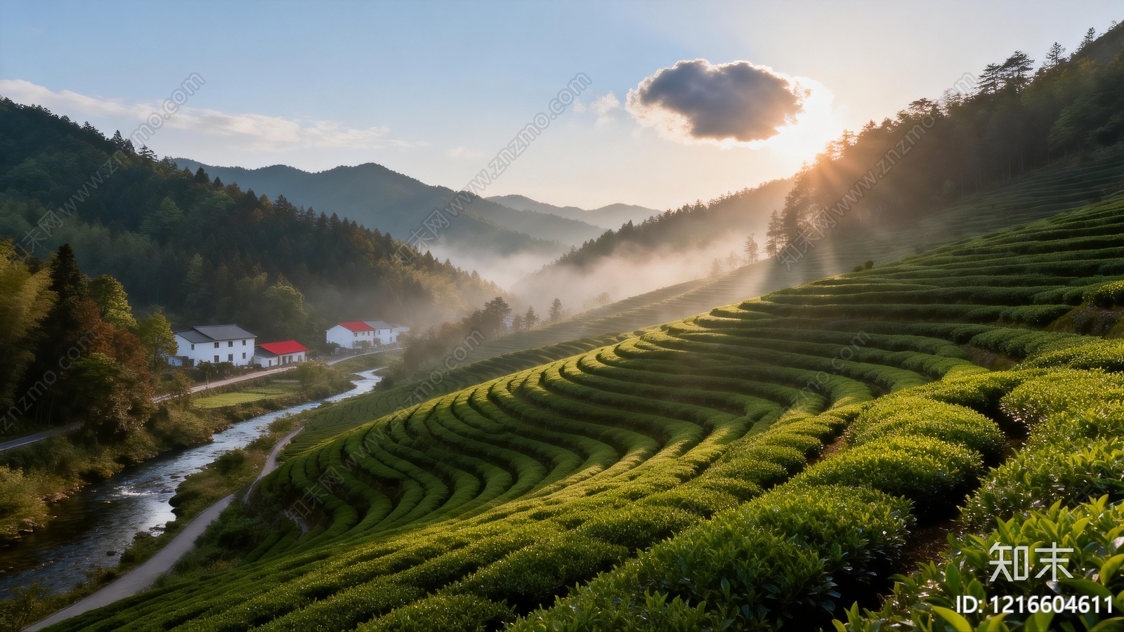 农田贴图下载【ID:1216604611】