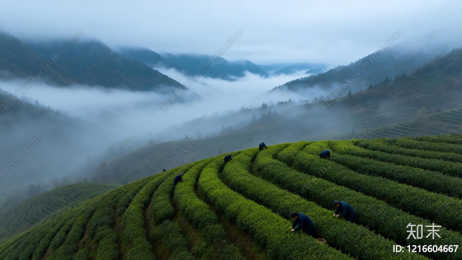 农田贴图下载【ID:1216604667】