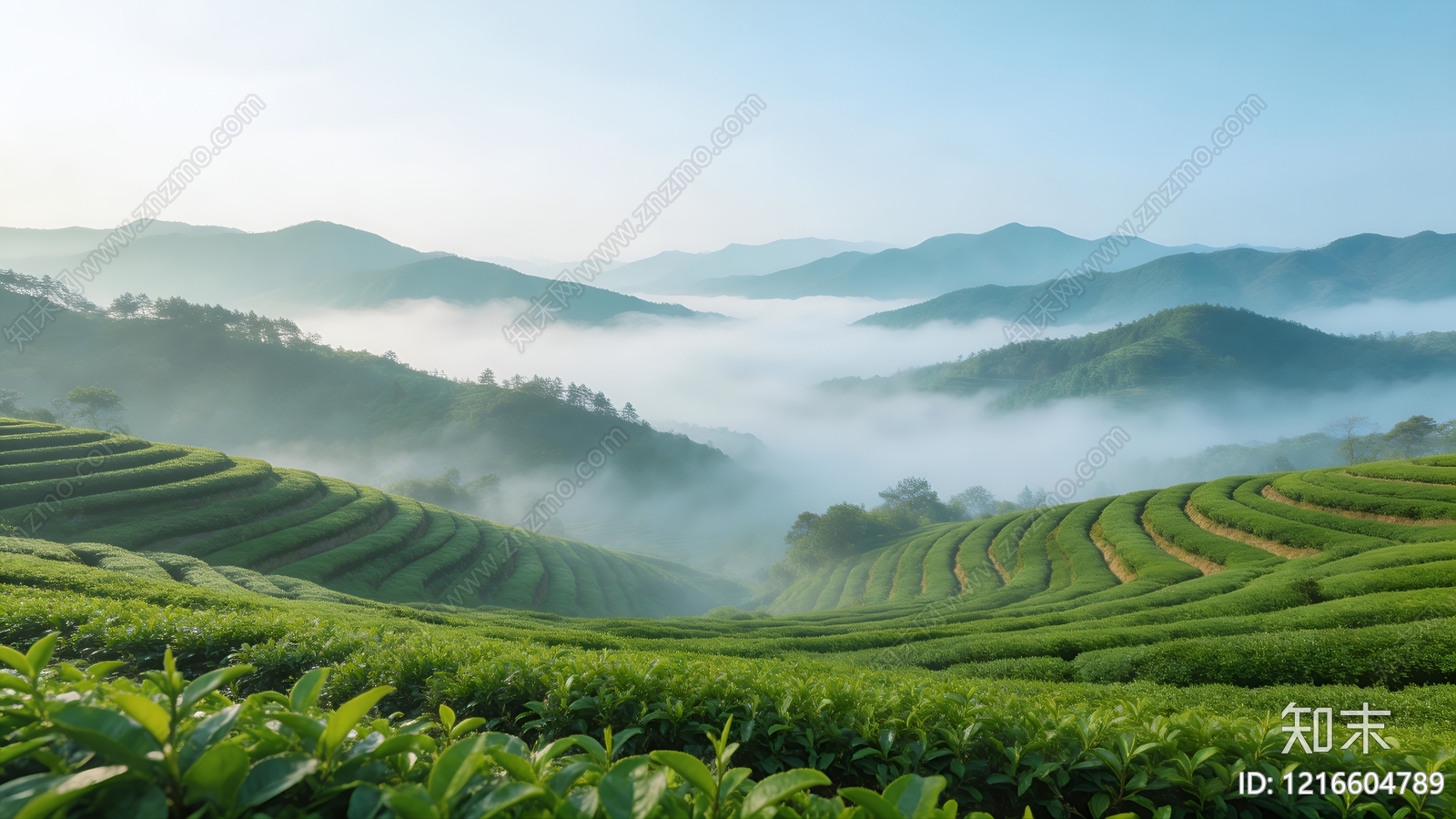 农田贴图下载【ID:1216604789】