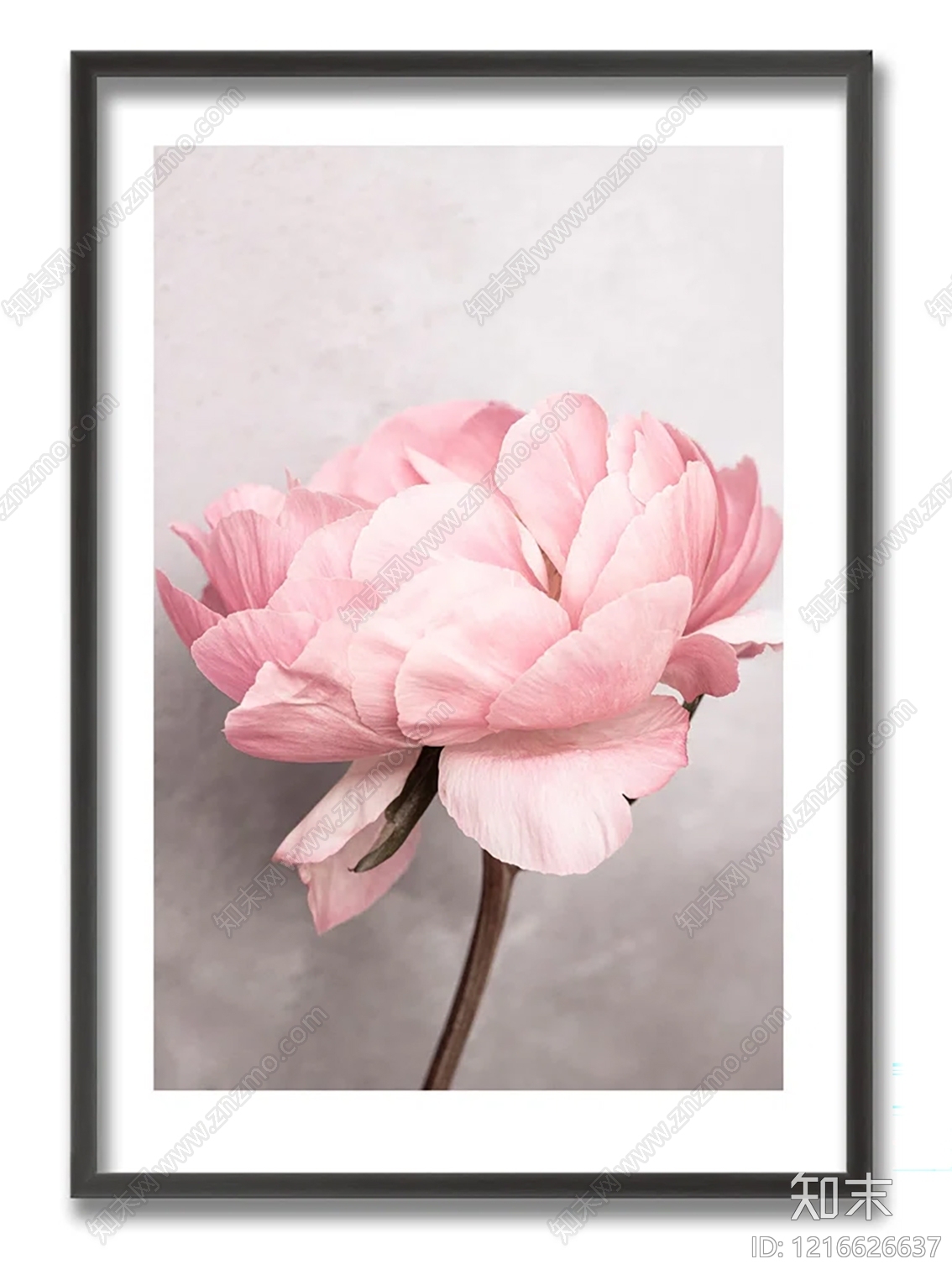 北欧其他挂画贴图下载【ID:1216626637】