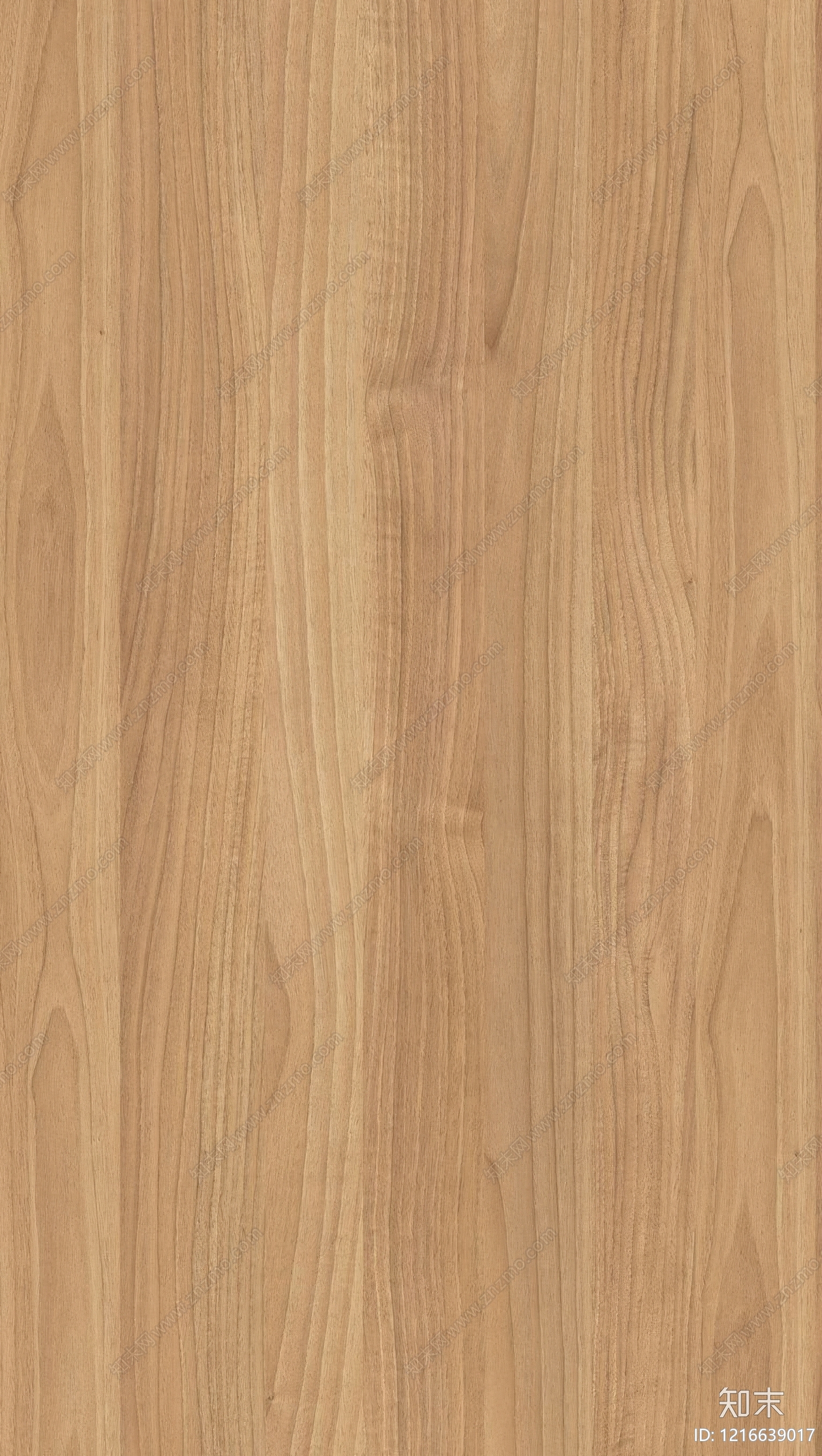 浅色木纹贴图下载【ID:1216639017】