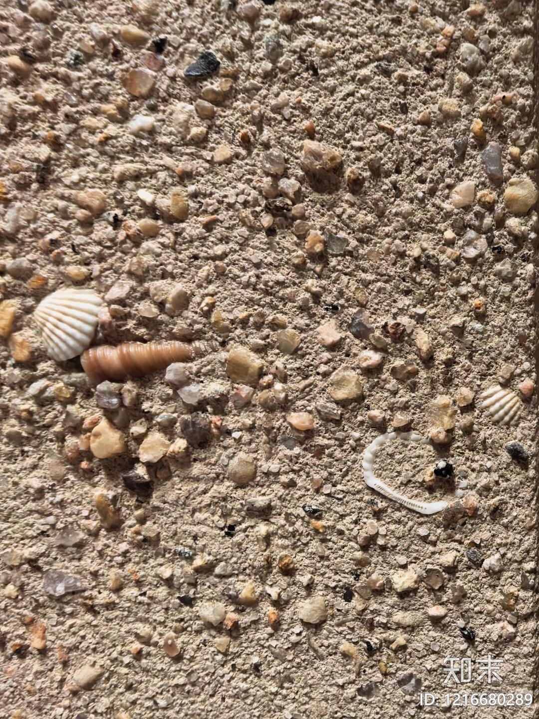 复古冲洗混凝土贴图下载【ID:1216680289】