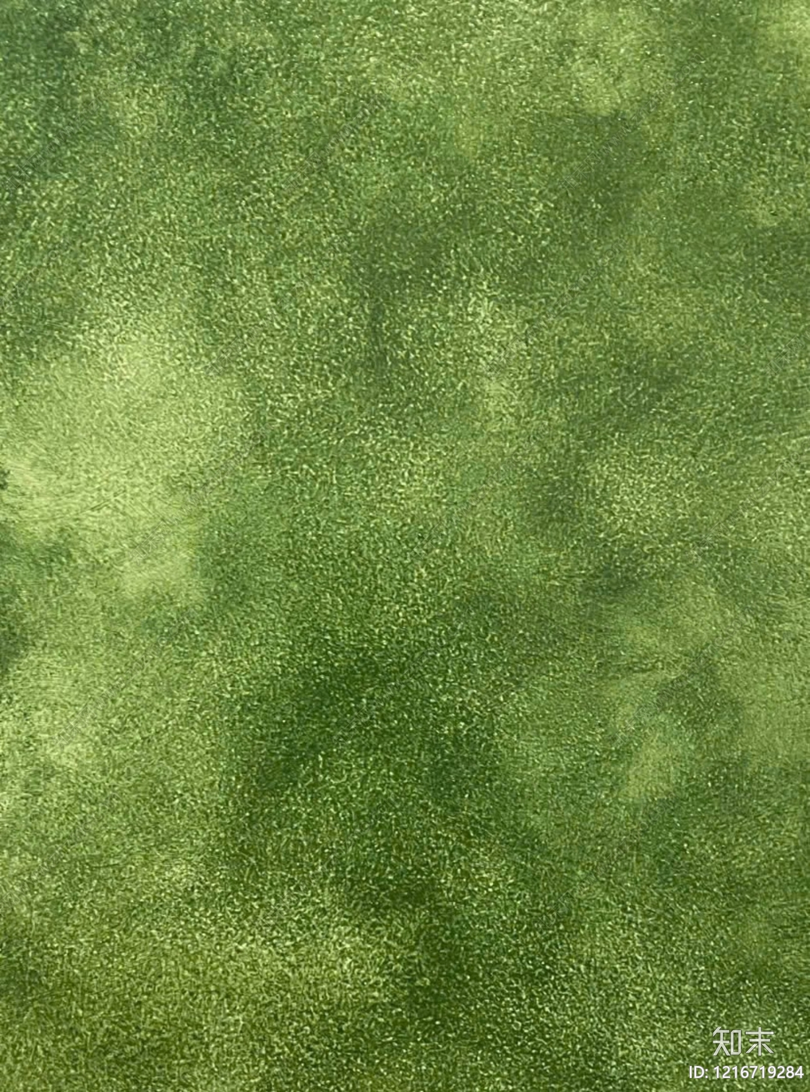 现代艺术漆天鹅绒贴图下载【ID:1216719284】