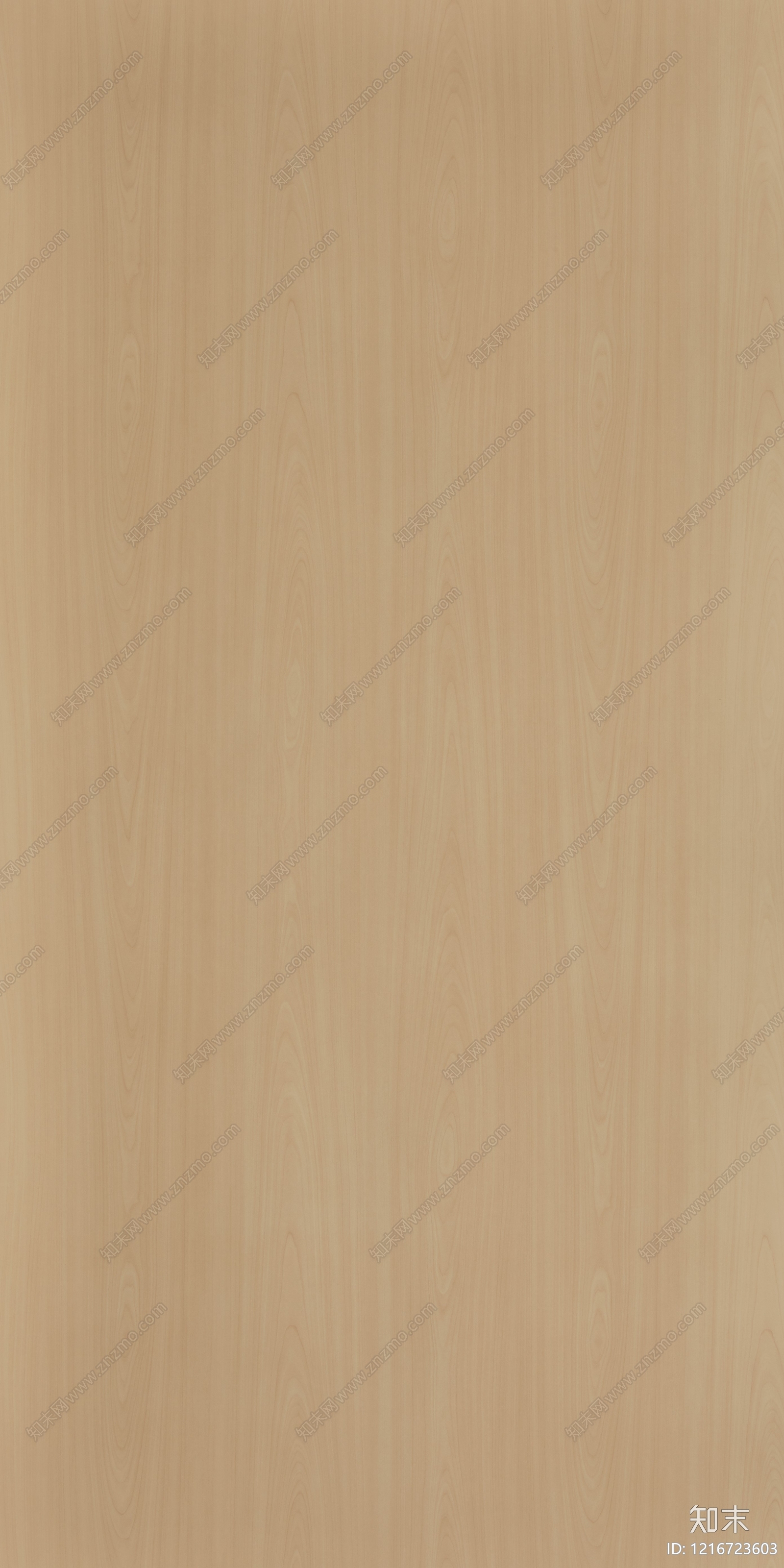 现代浅色木纹贴图下载【ID:1216723603】