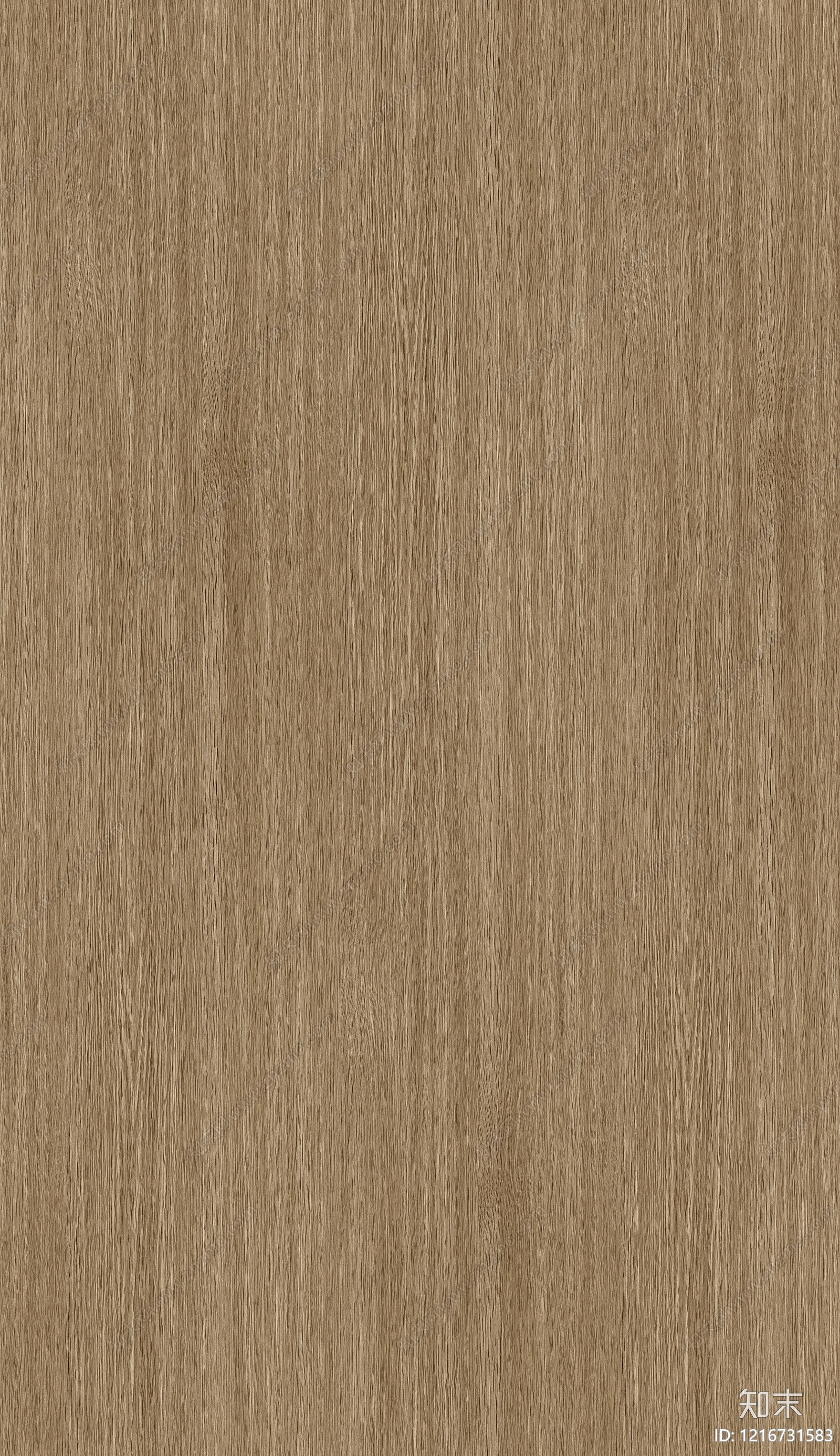 现代浅色木纹贴图下载【ID:1216731583】