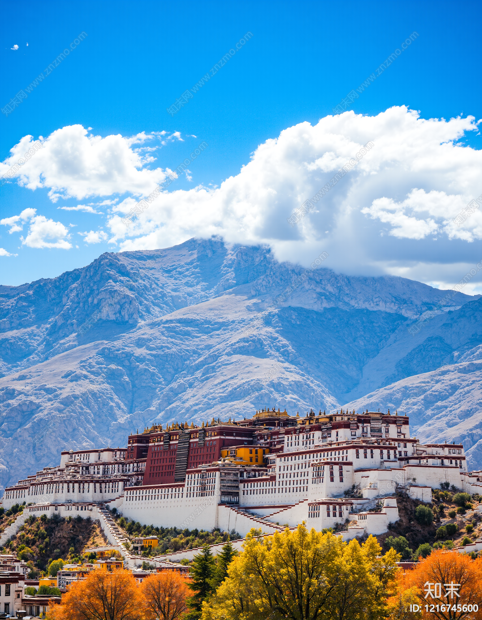 现代建筑外立面贴图下载【ID:1216745600】