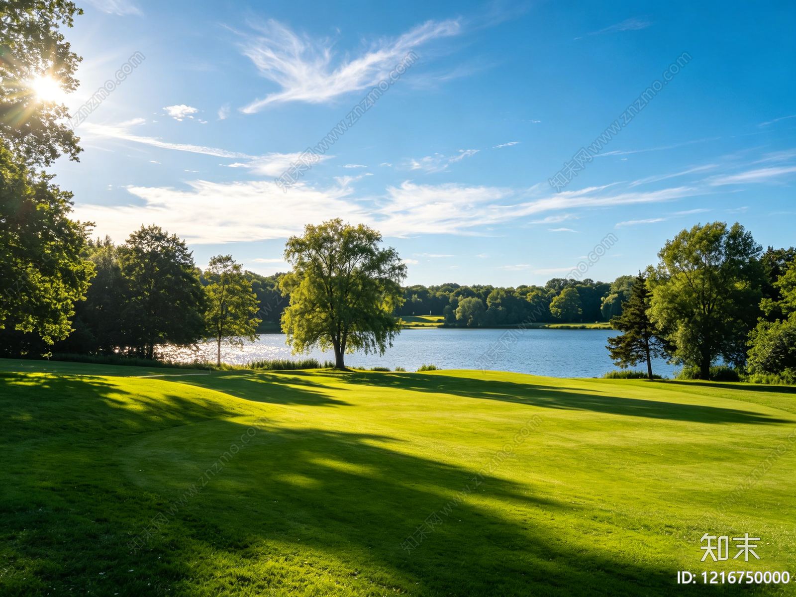 现代森林贴图下载【ID:1216750000】