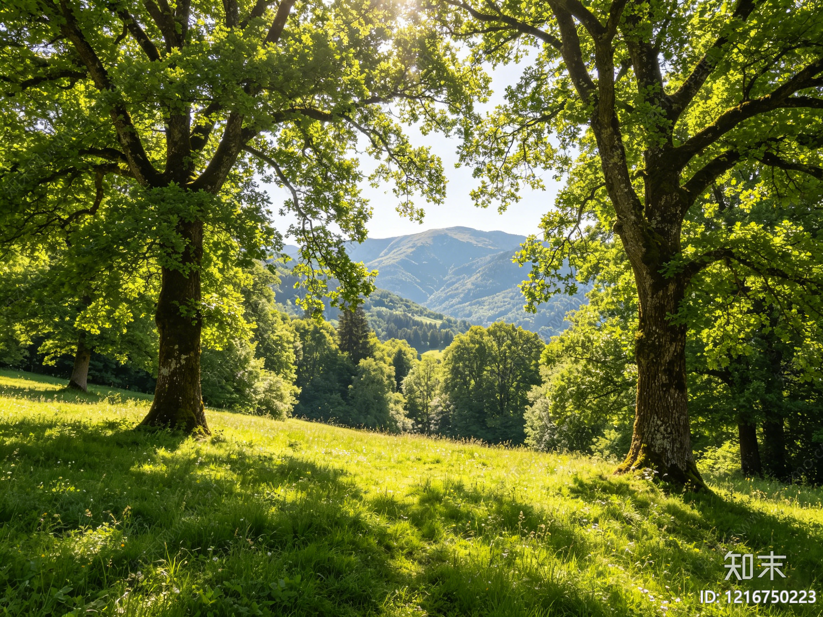 现代其他风景贴图下载【ID:1216750223】