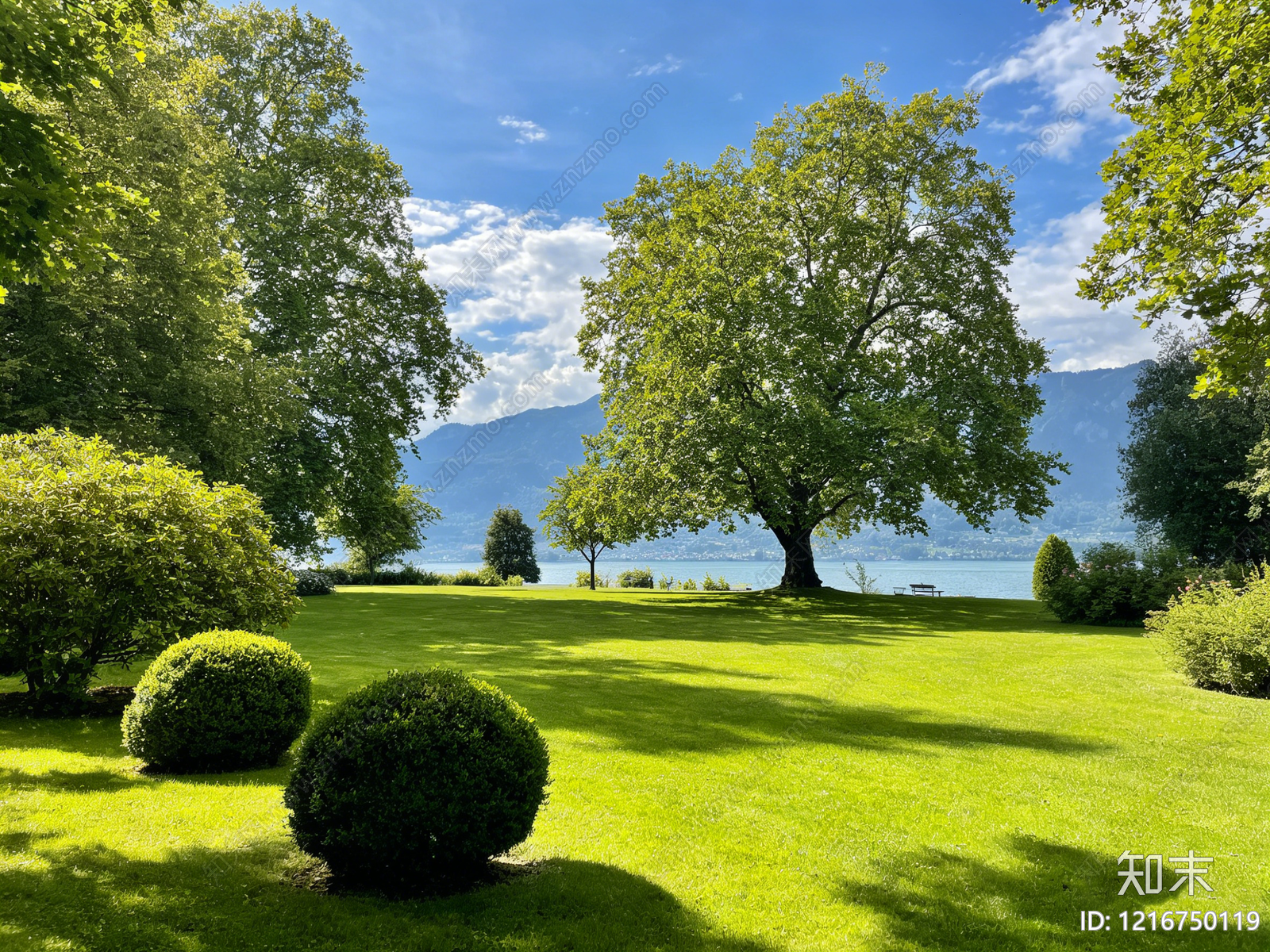 现代草地贴图下载【ID:1216750119】