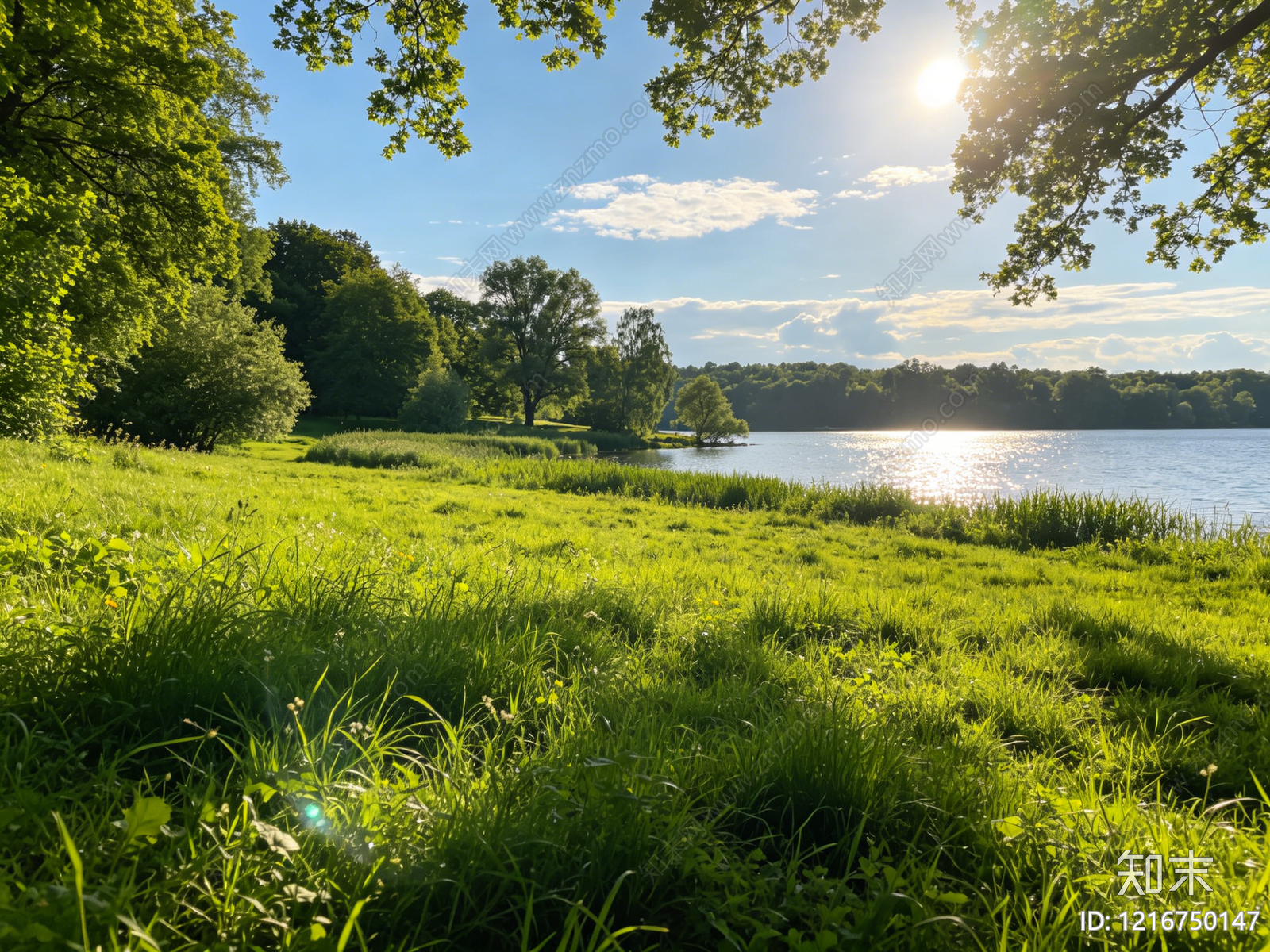 现代草地贴图下载【ID:1216750147】