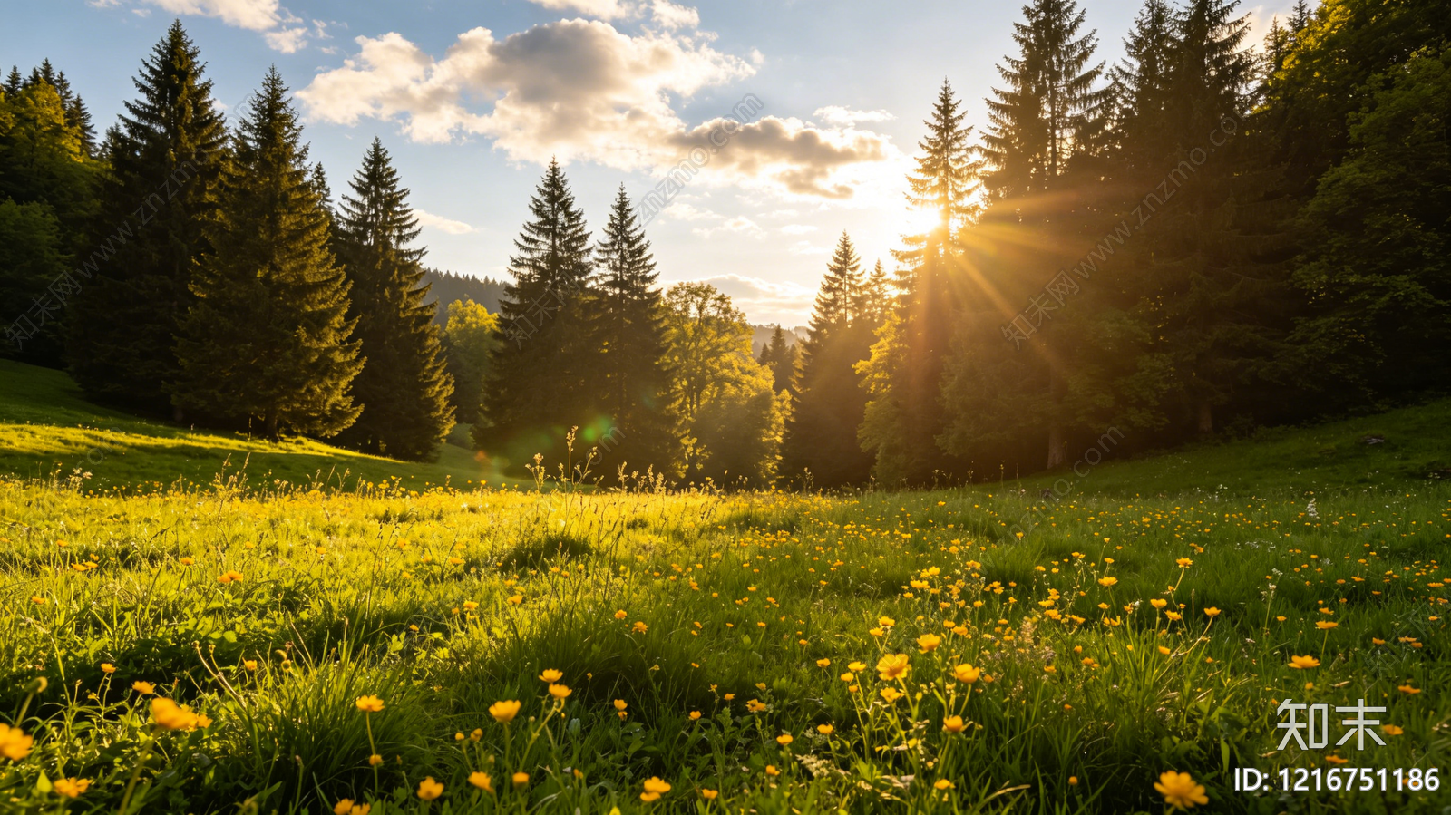 现代森林贴图下载【ID:1216751186】
