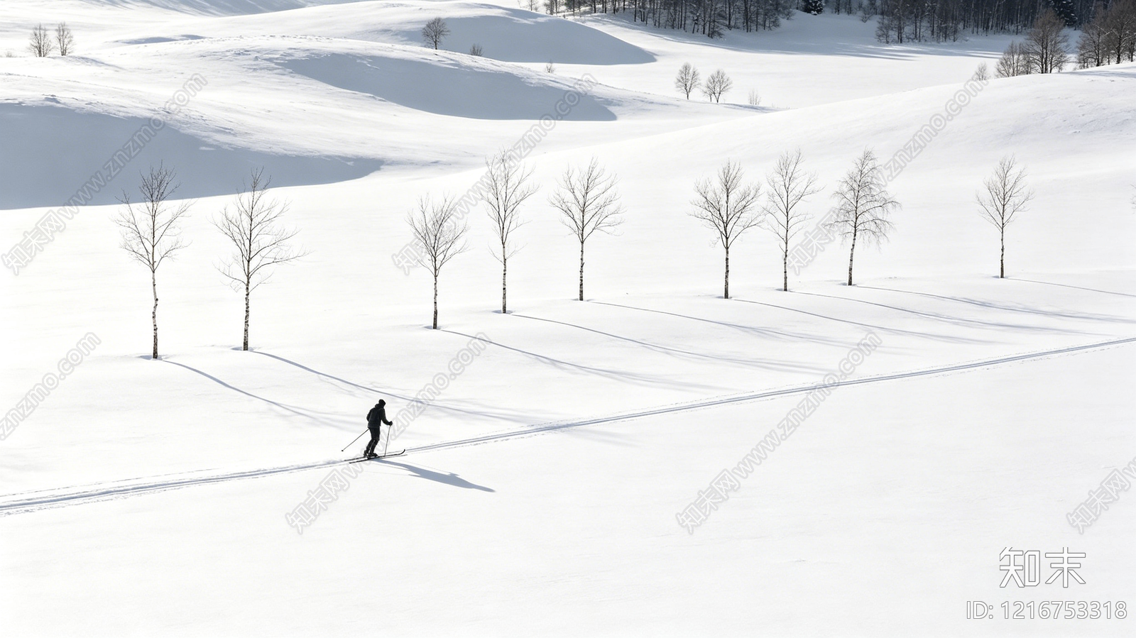 雪景贴图下载【ID:1216753318】