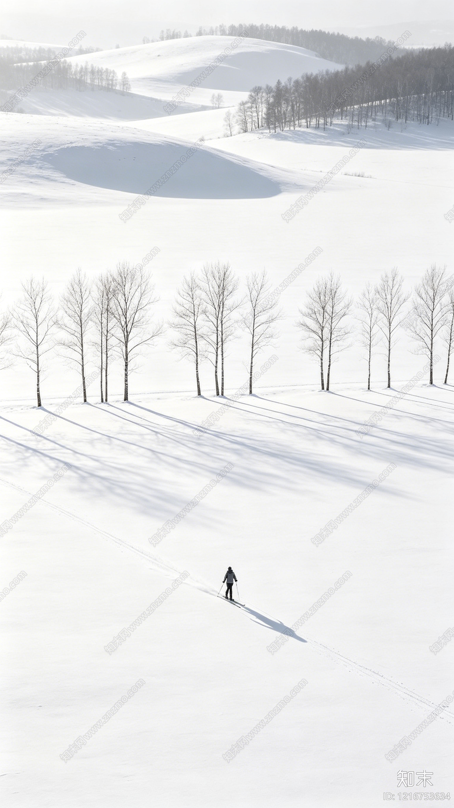 雪景贴图下载【ID:1216753634】