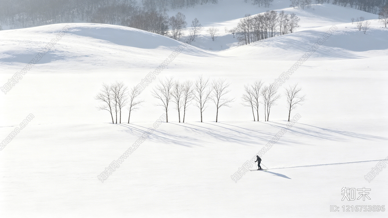 雪景贴图下载【ID:1216753696】