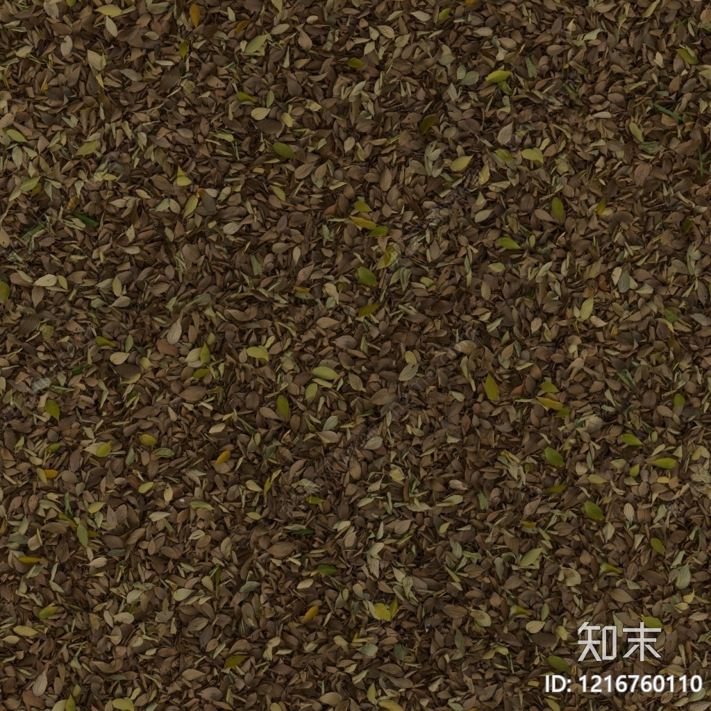 干枯植物纹理贴图下载【ID:1216760110】