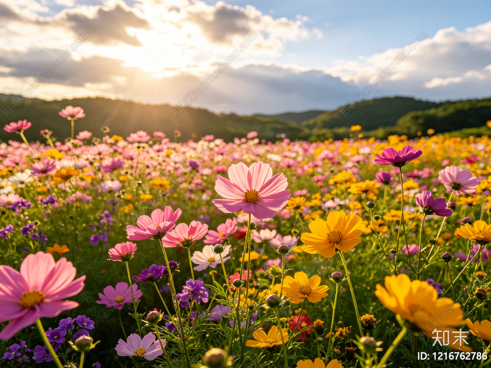 现代花园贴图下载【ID:1216762786】