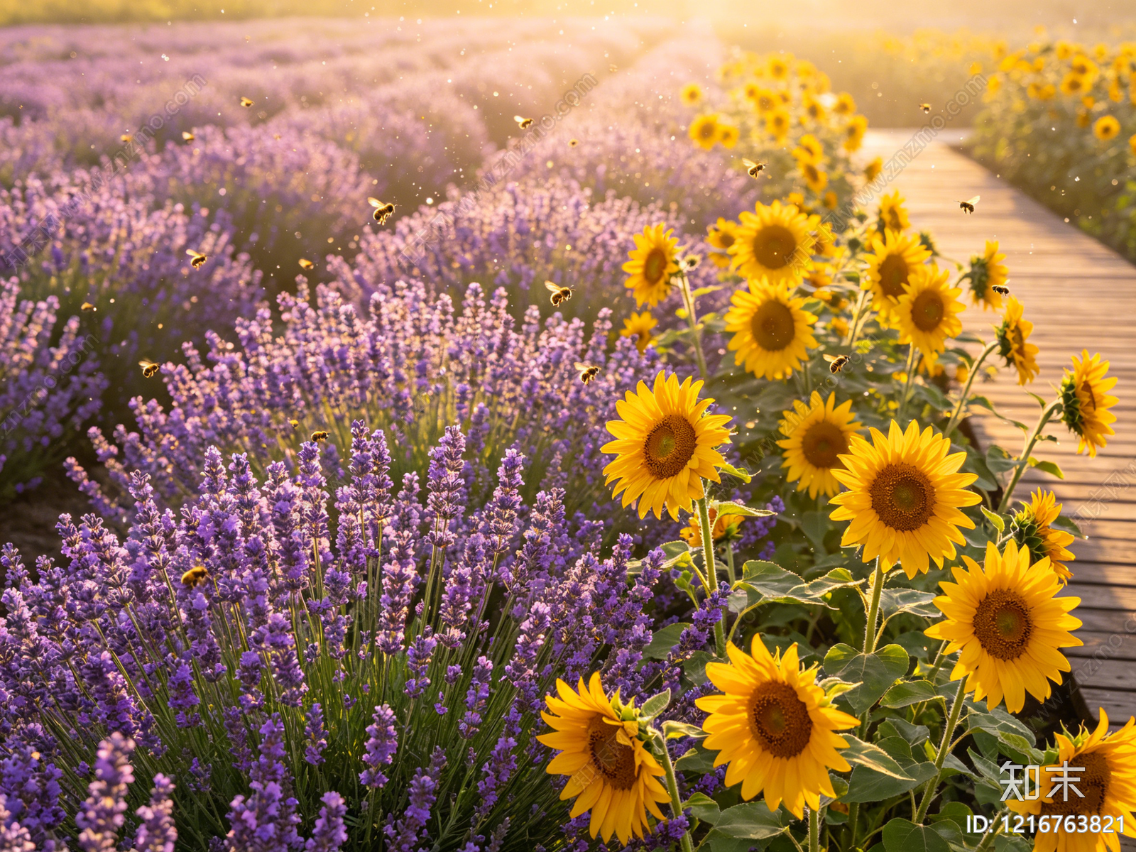 现代农田贴图下载【ID:1216763821】