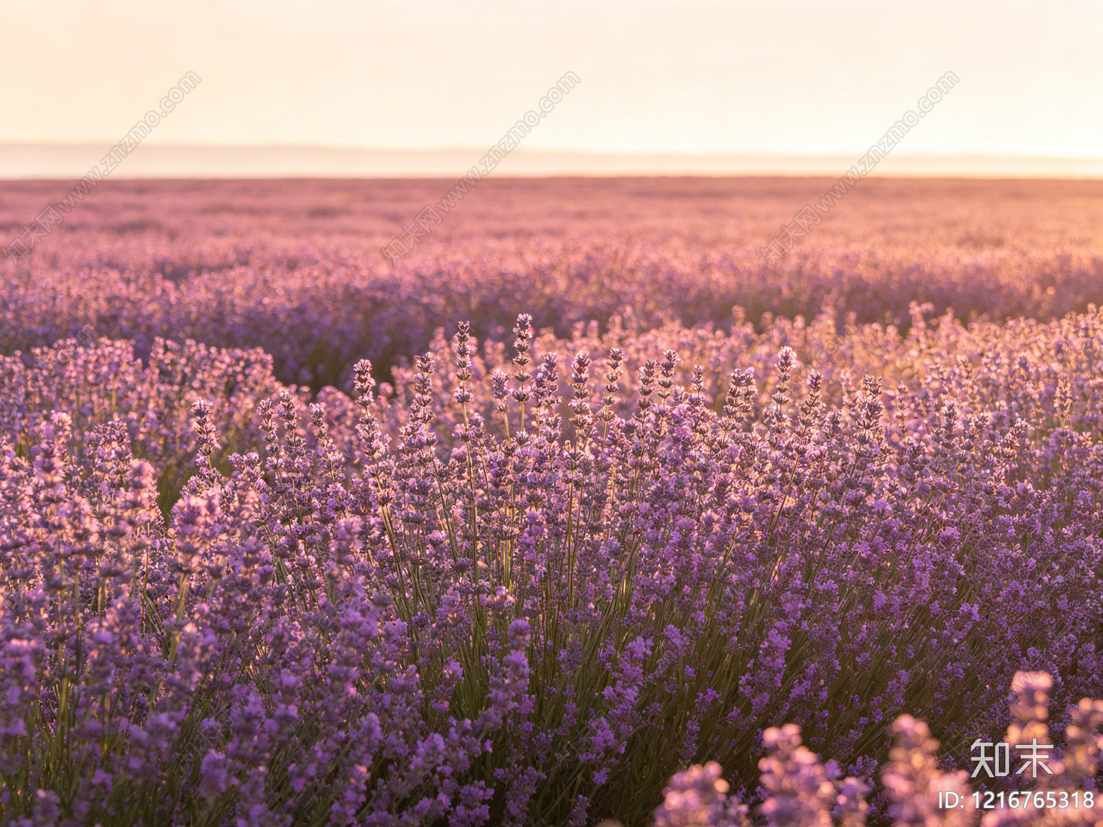 现代花丛贴图下载【ID:1216765318】