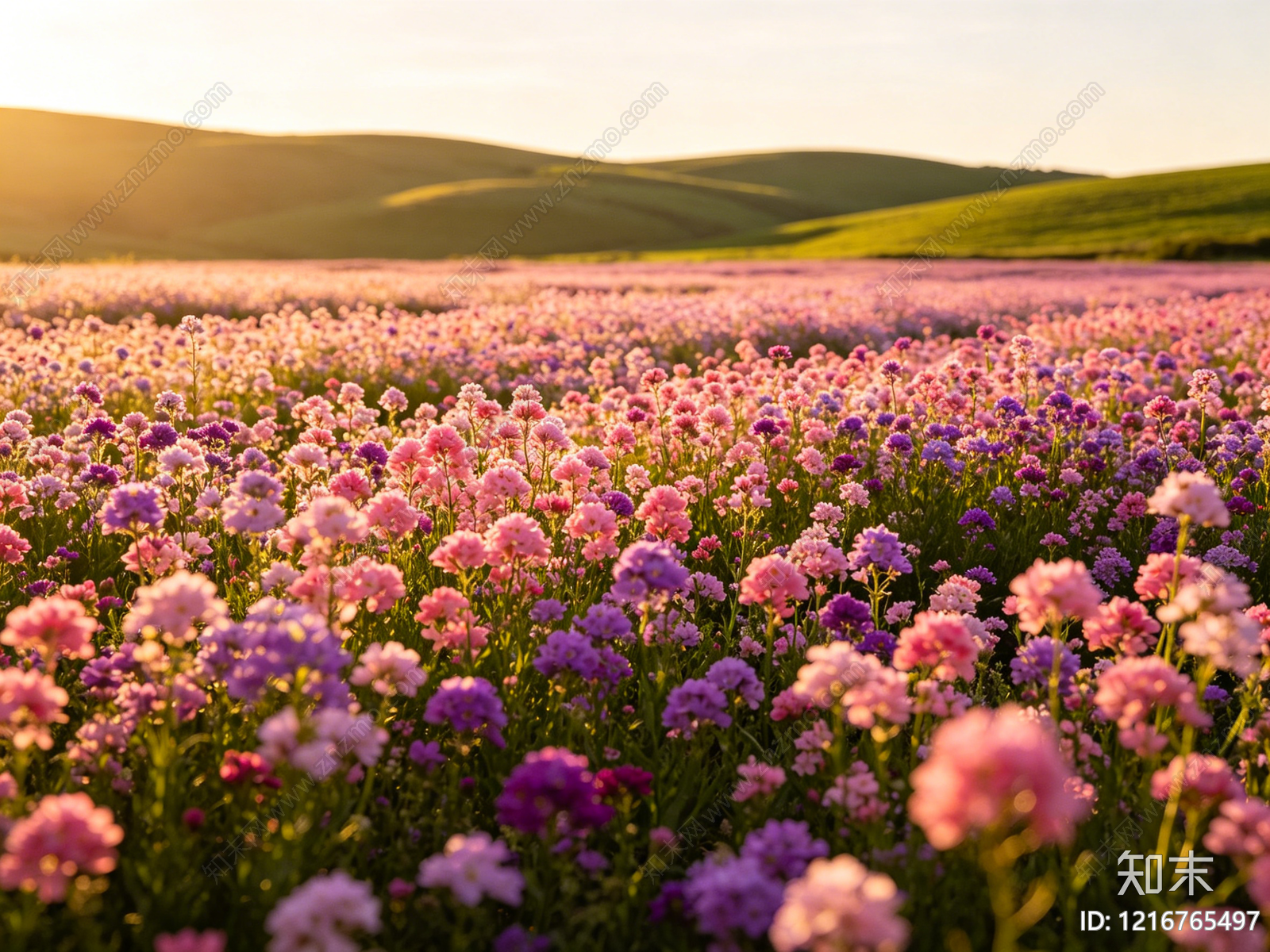 现代花丛贴图下载【ID:1216765497】