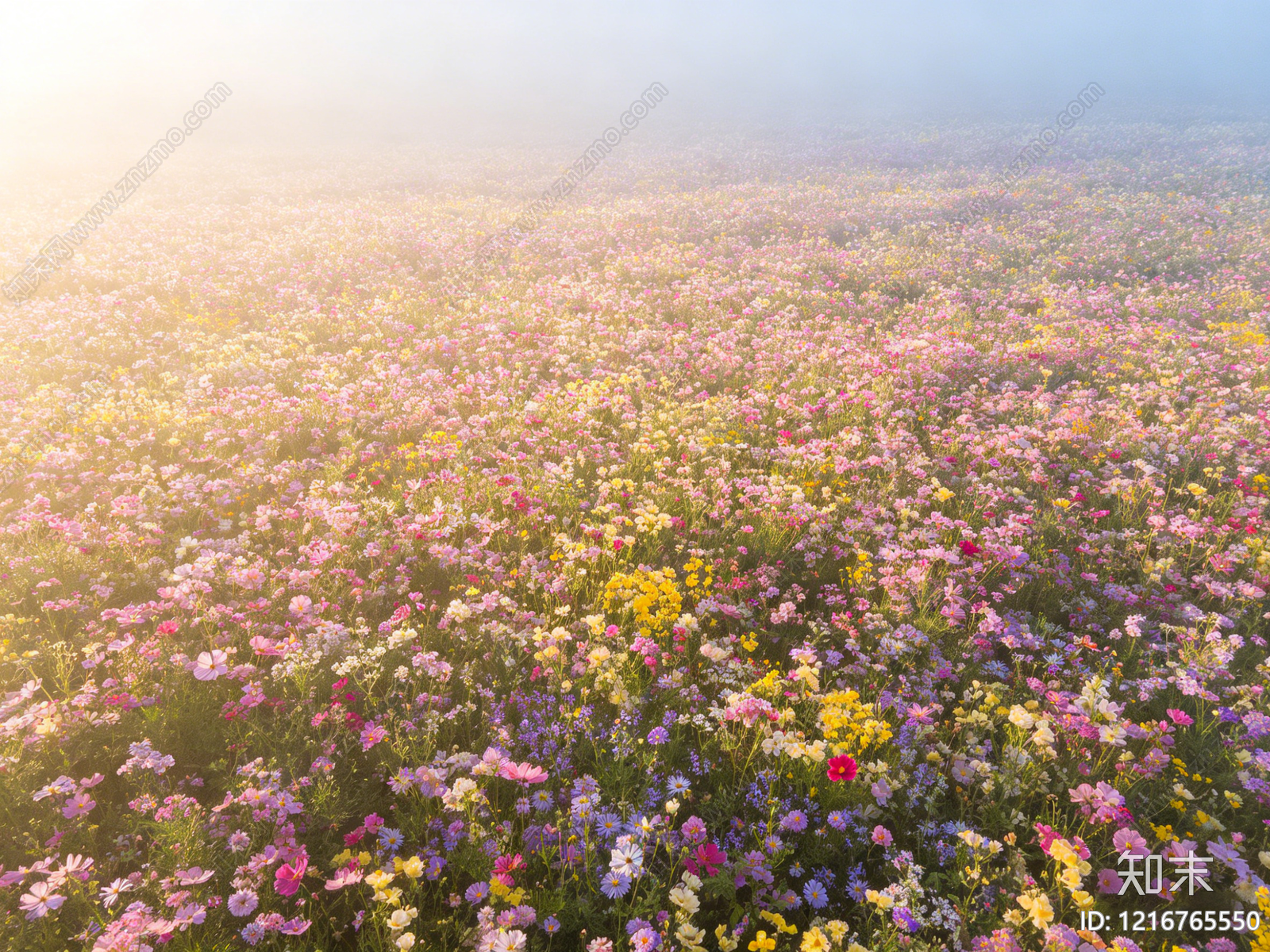 现代花丛贴图下载【ID:1216765550】