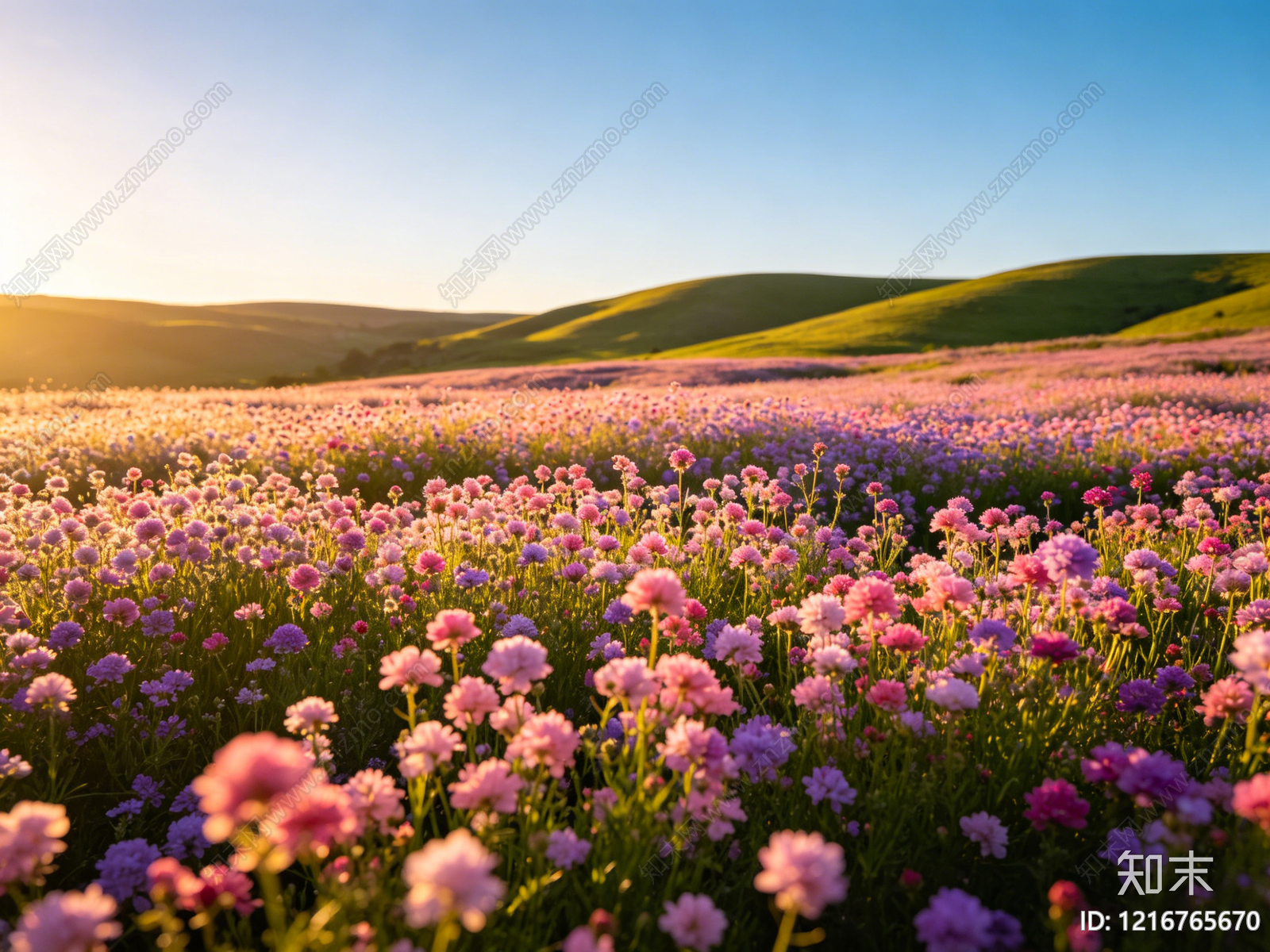 现代花丛贴图下载【ID:1216765670】