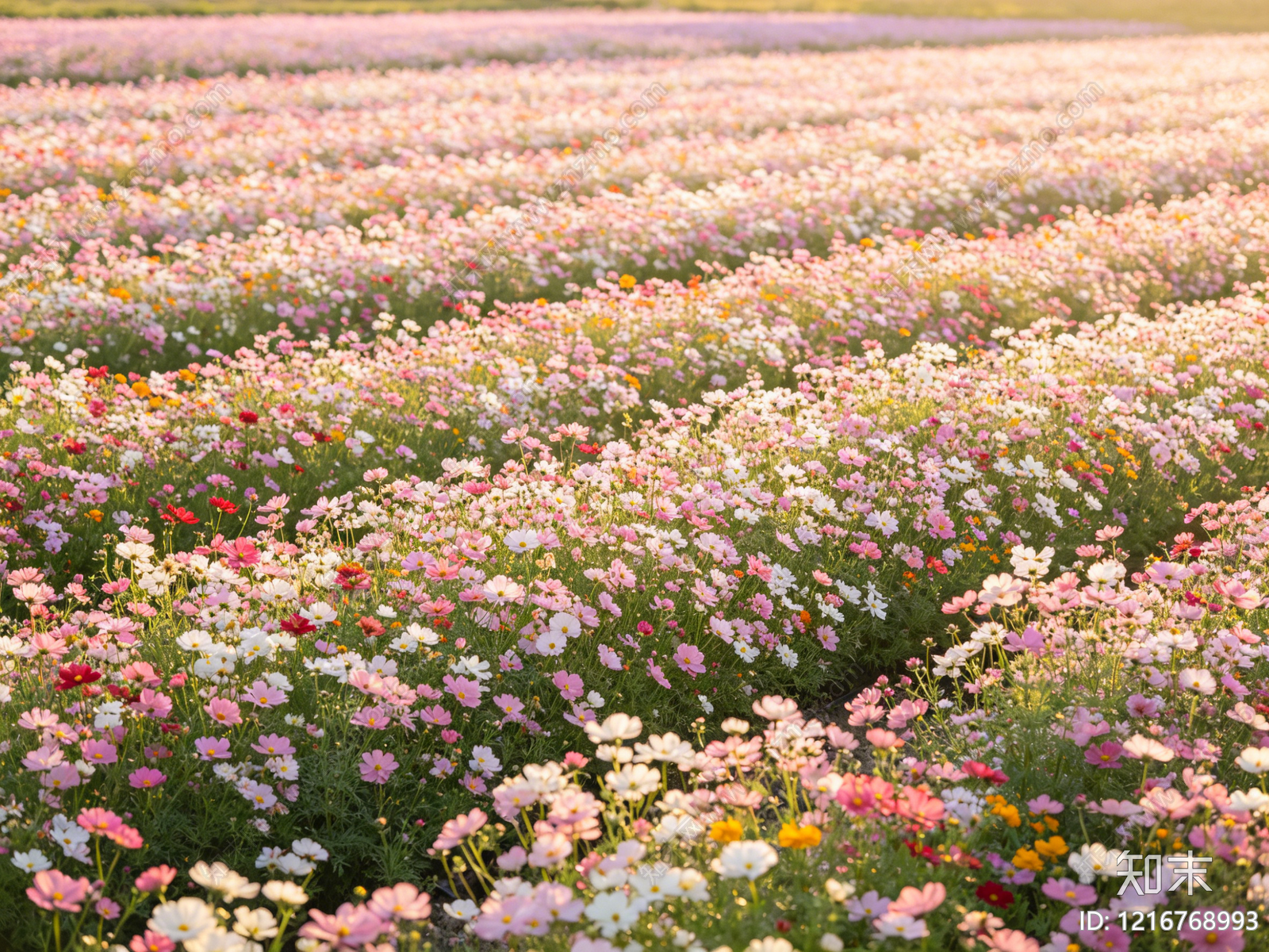 现代花园贴图下载【ID:1216768993】