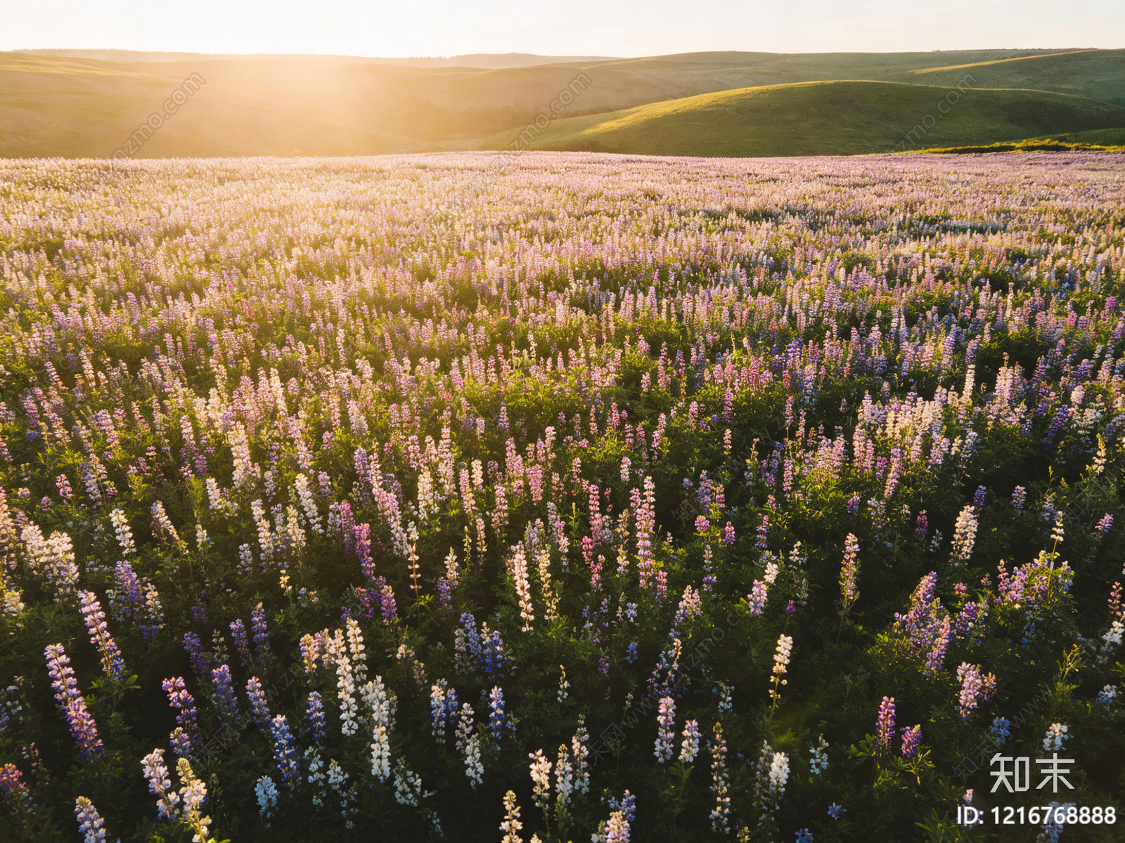 现代花园贴图下载【ID:1216768888】