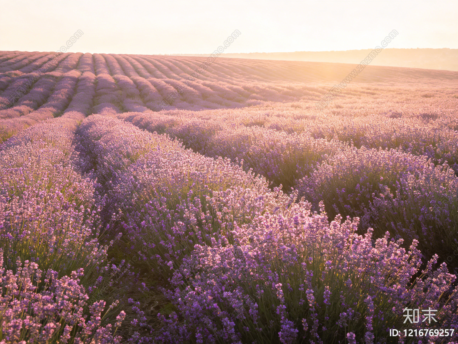 现代花丛贴图下载【ID:1216769257】