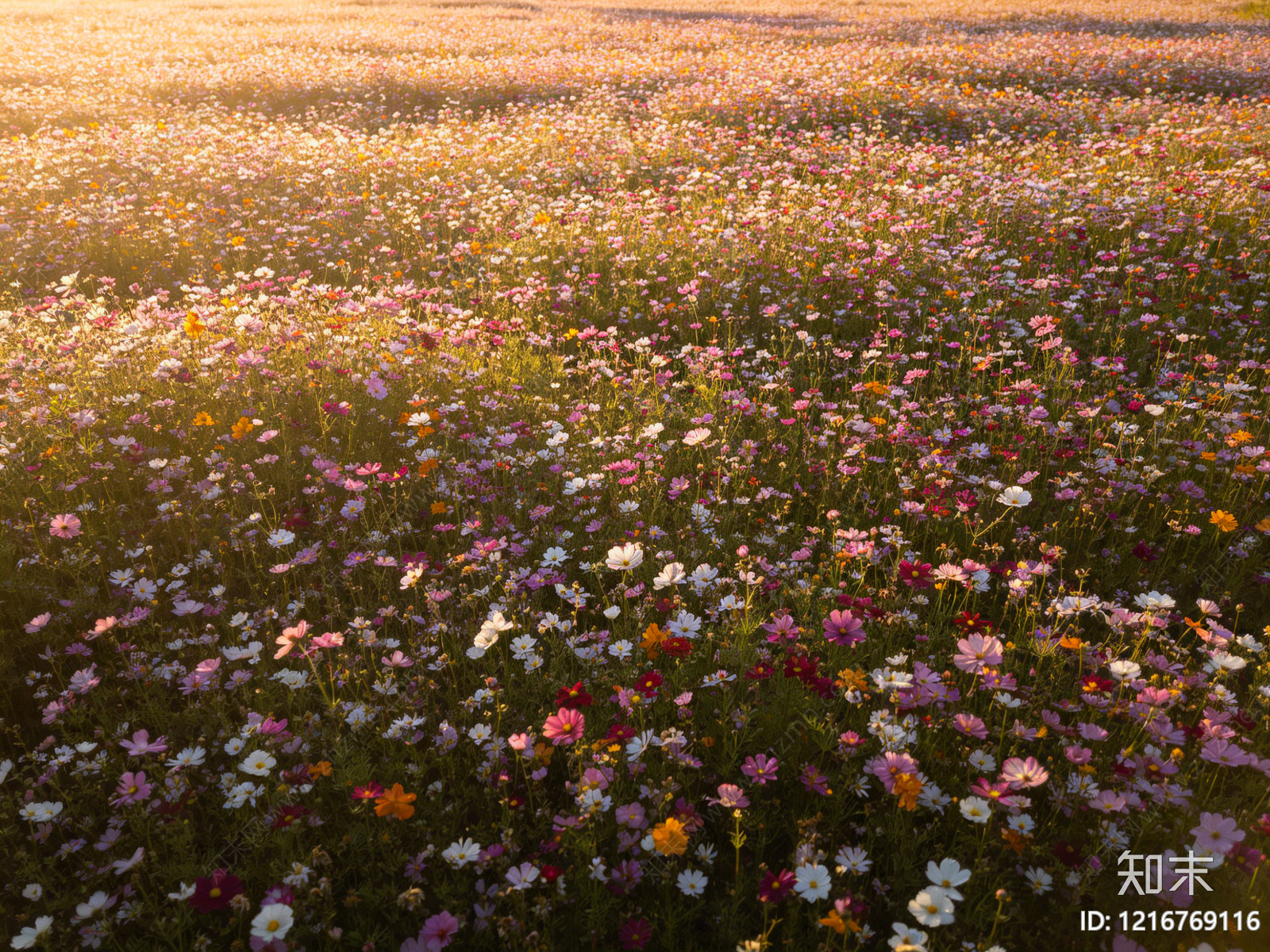 现代花丛贴图下载【ID:1216769116】