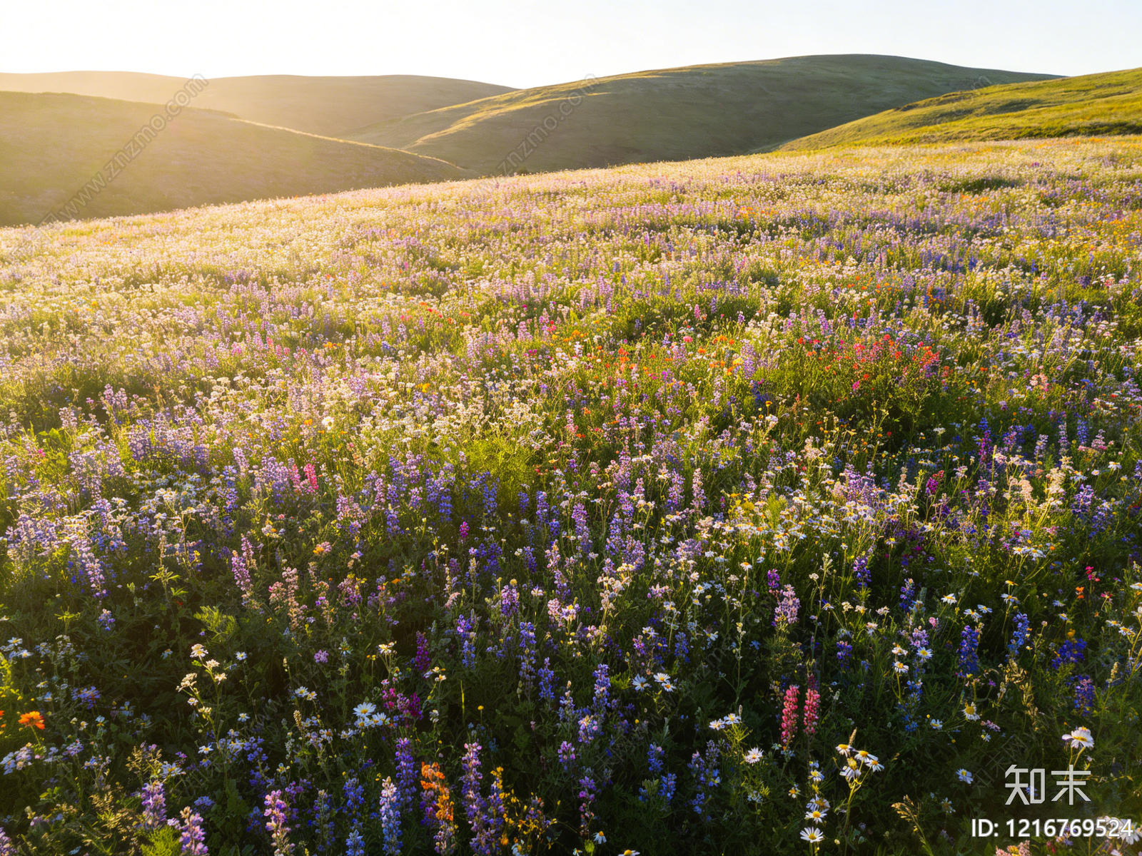 现代花丛贴图下载【ID:1216769524】