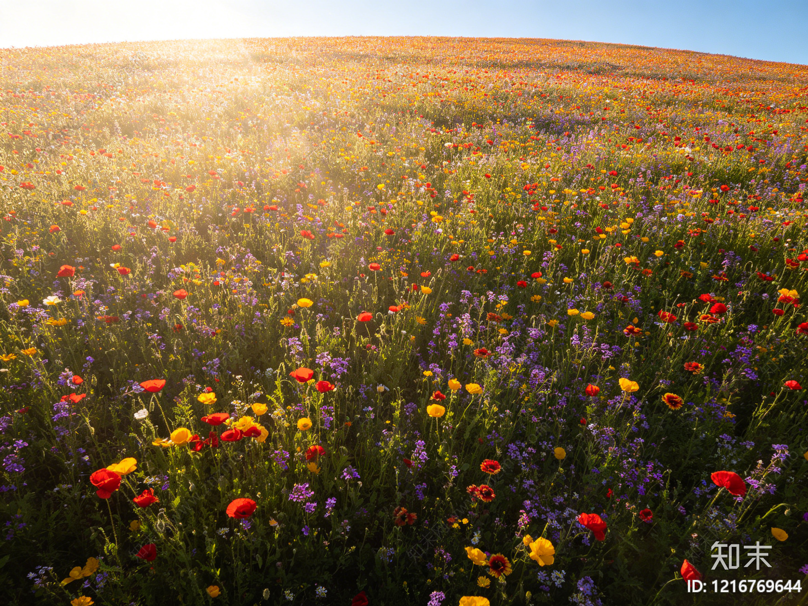 现代花丛贴图下载【ID:1216769644】