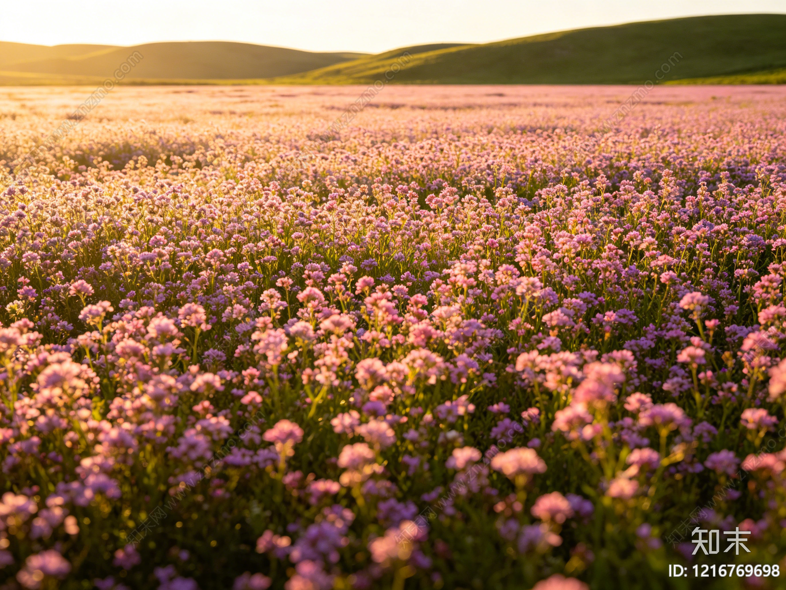 现代花园贴图下载【ID:1216769698】